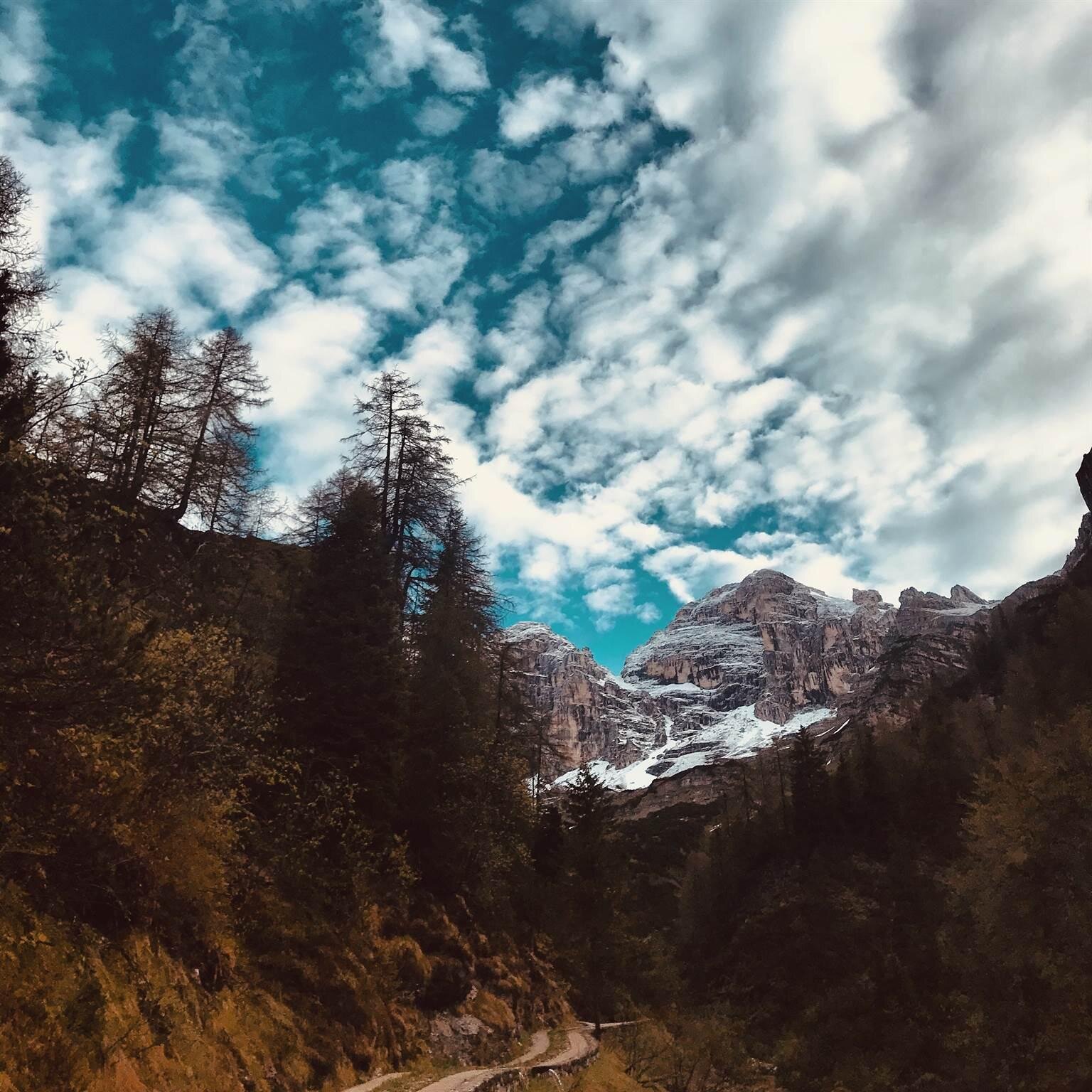 36ACBE4E-D86A-4F61-A230-476EF3835B91