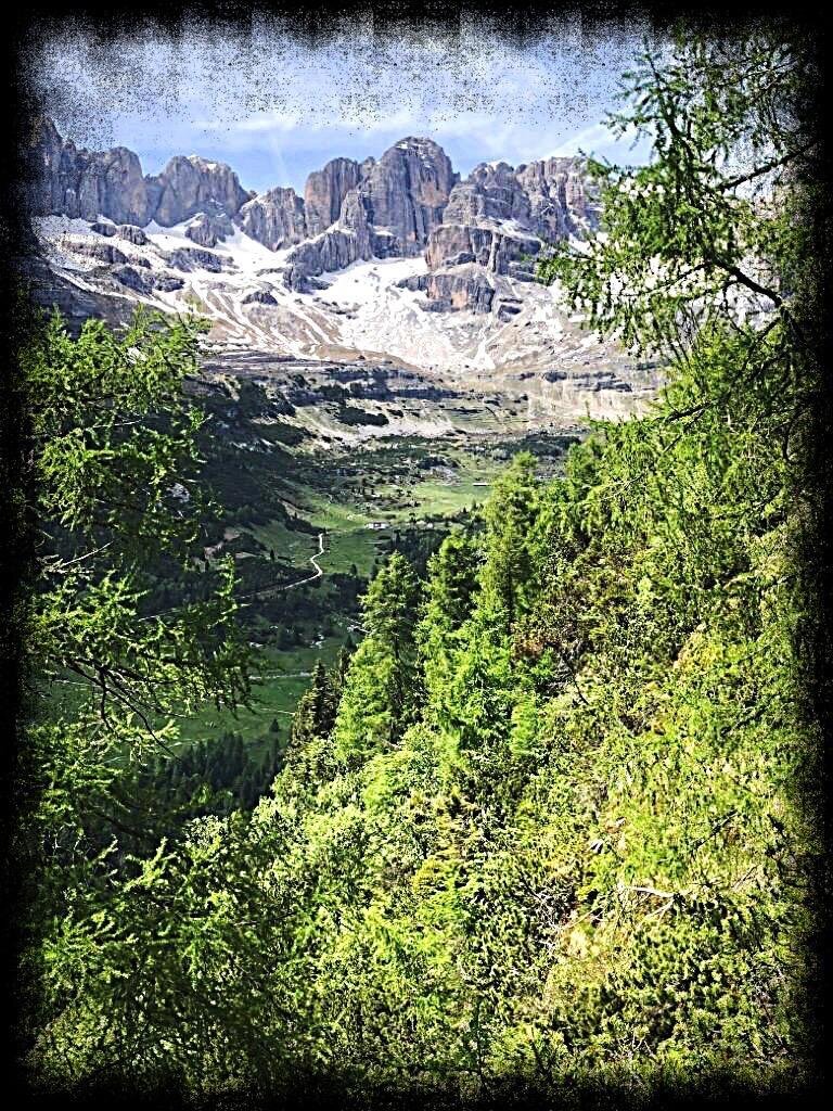 2BA80964-6C43-4283-ABCA-F9062CF123C6