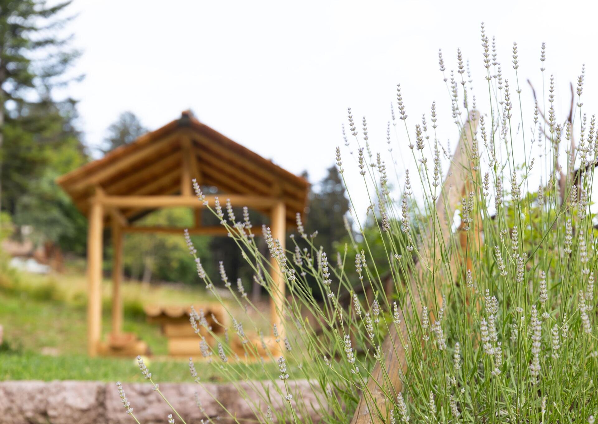 Giardino privato e solarium
