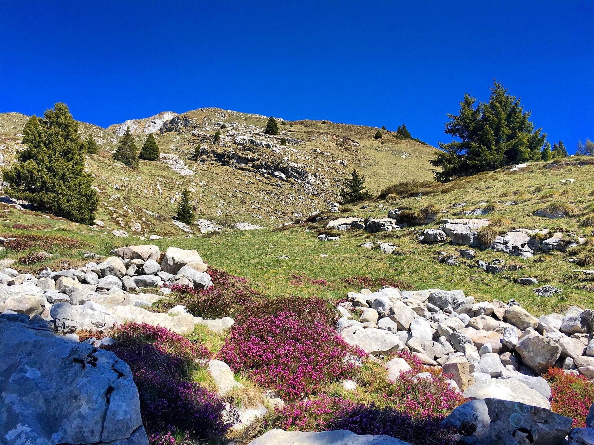 Verso il Belvedere di Prada