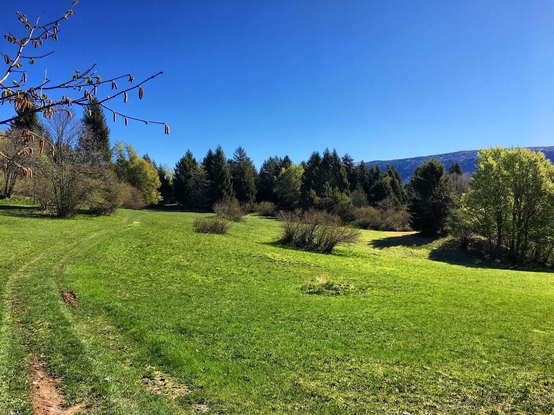 Strada delle slitte, Prada