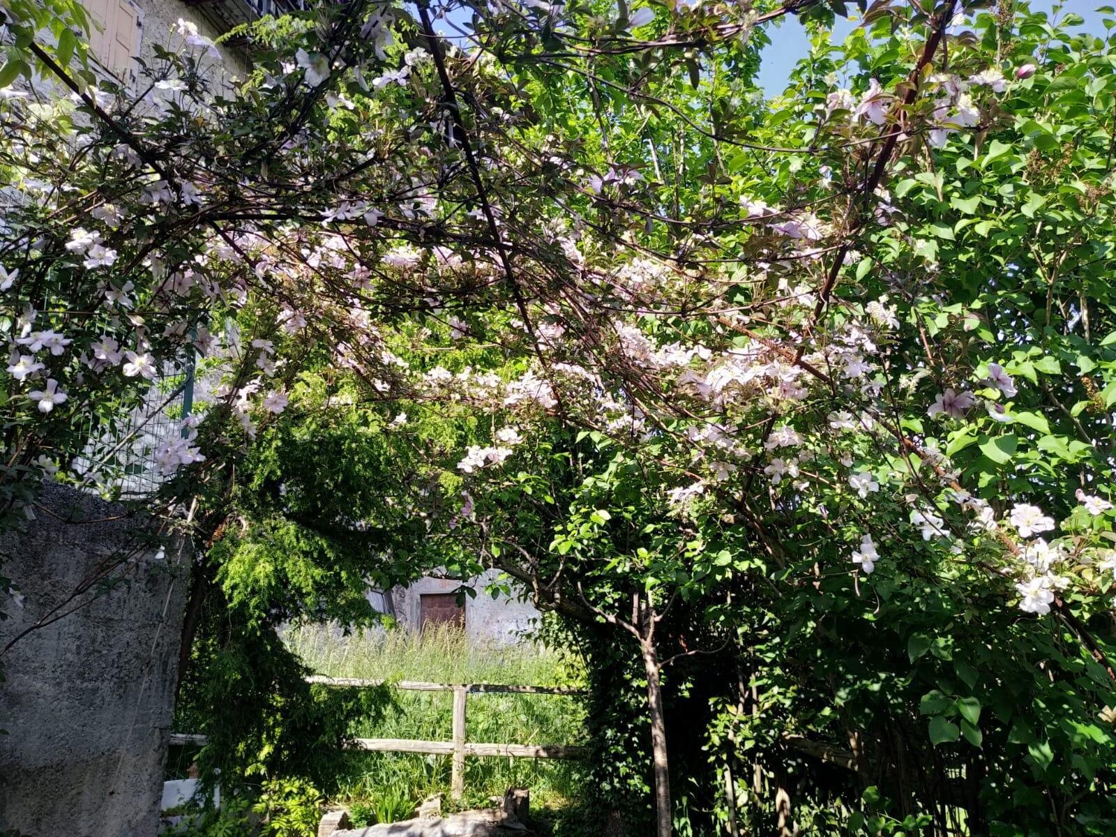 08ff9a21-889d-4edb-b768-733e2228fc53