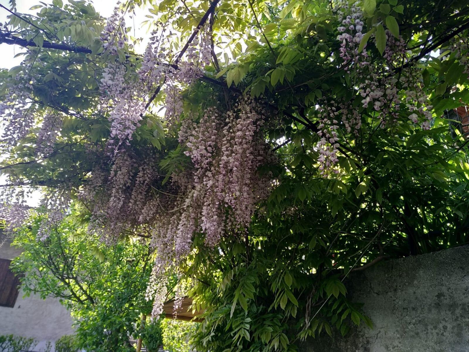 0374cc40-70f9-4444-a6c0-c406eaa01189