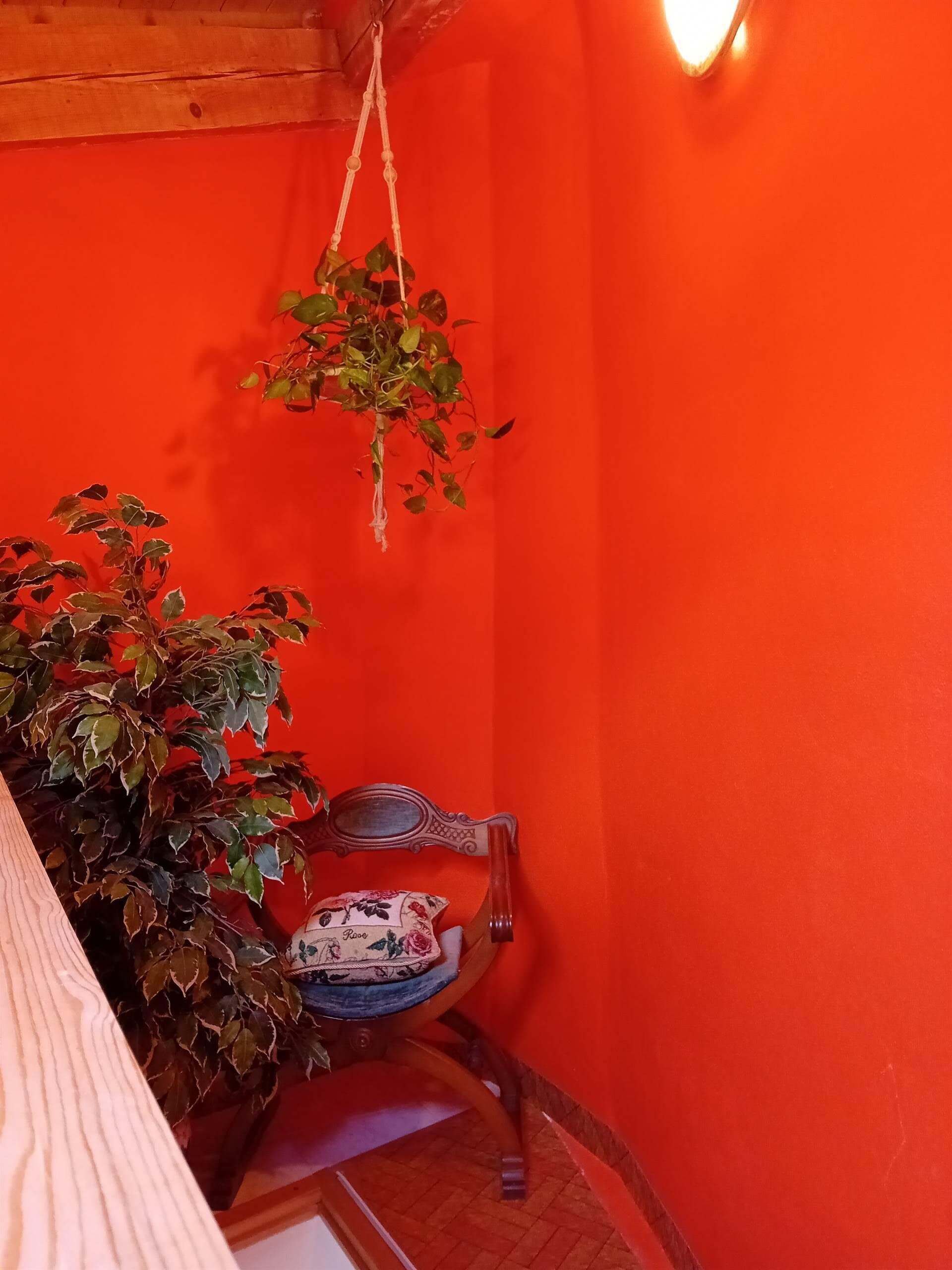 Dettaglio decorativo