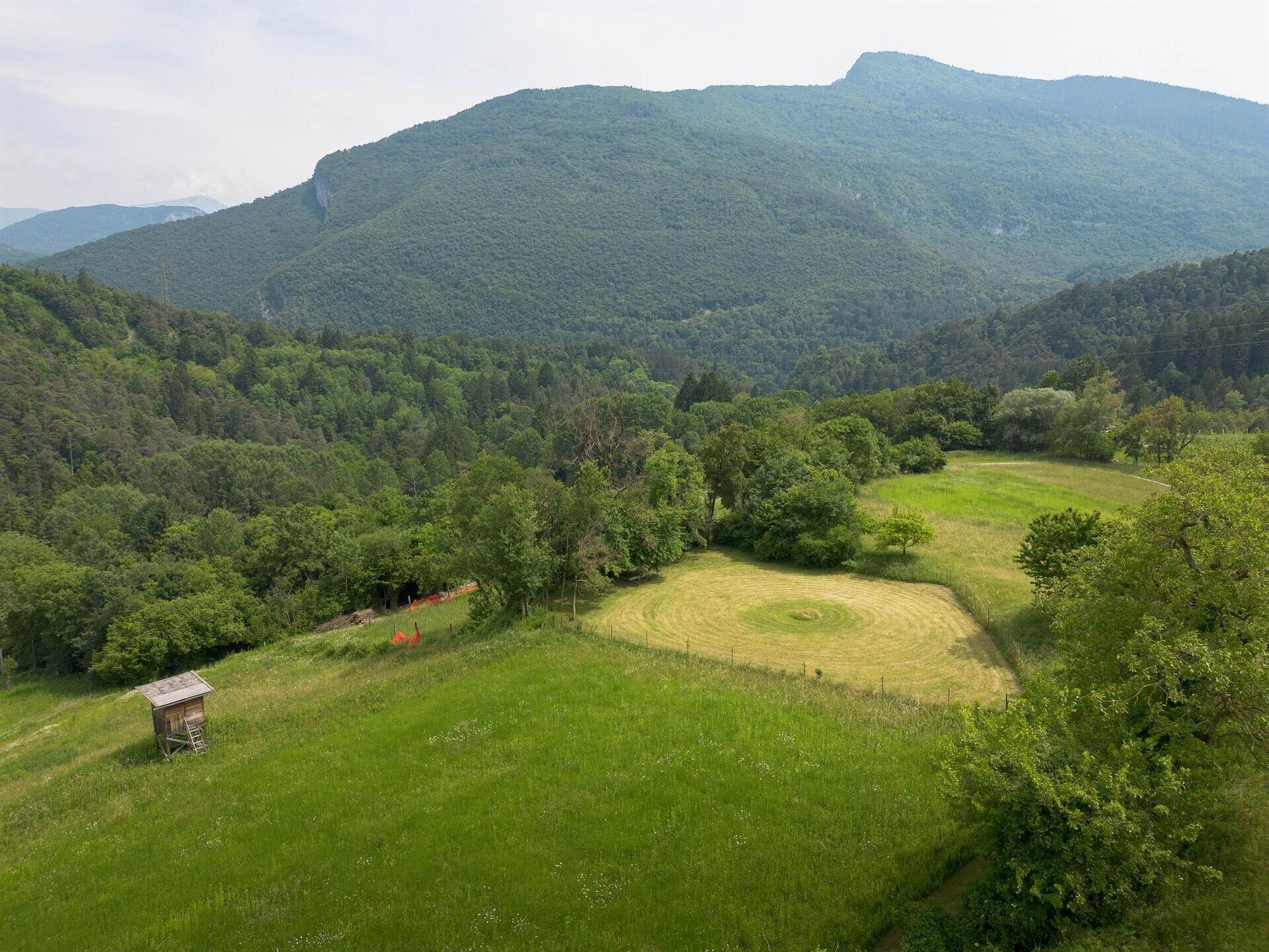 area cani vista dall'alto