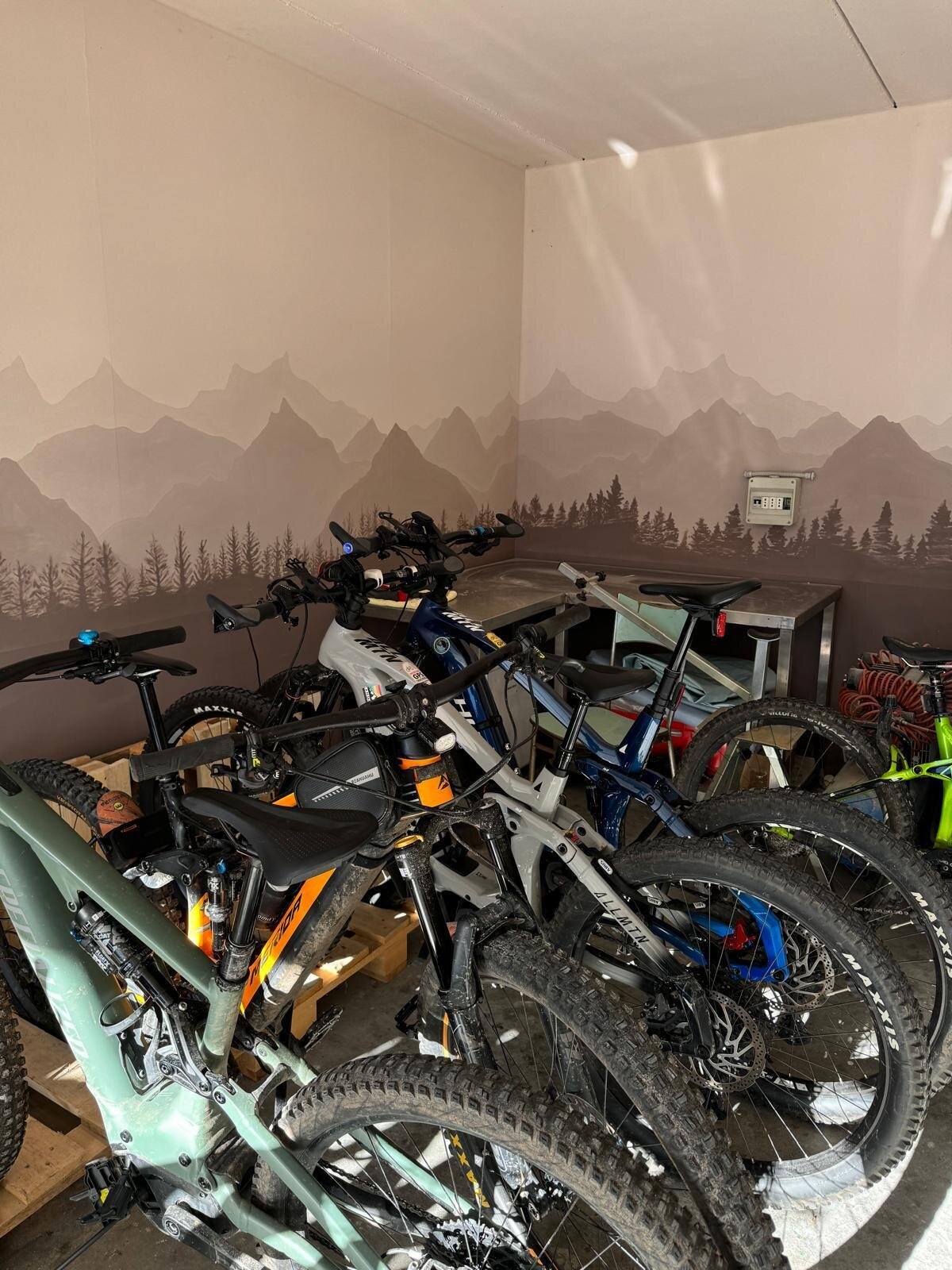 WhatsApp Image 2024-06-27 at 20.56.33