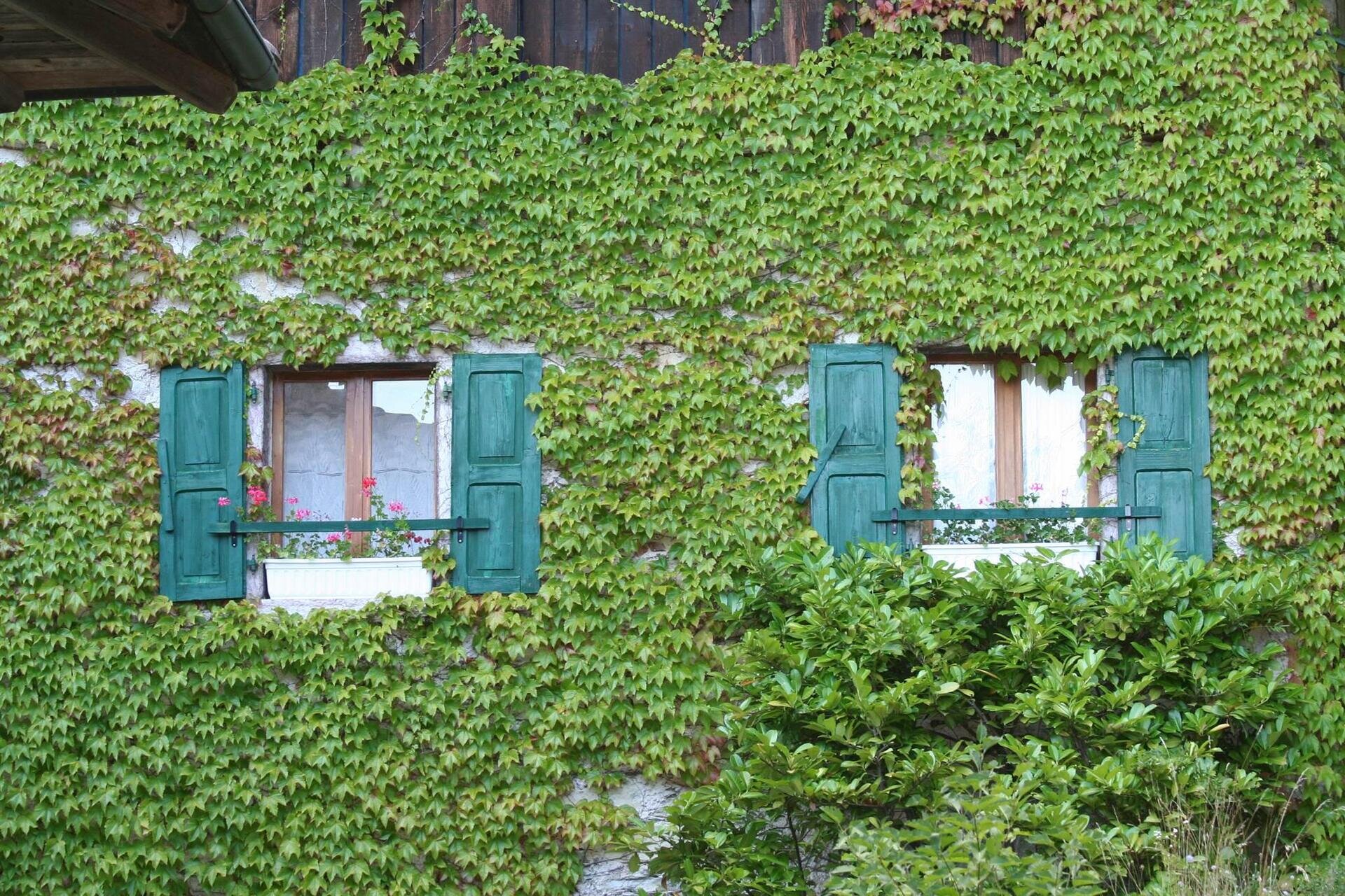 BorghiSan Lorenzo frazione Berghi