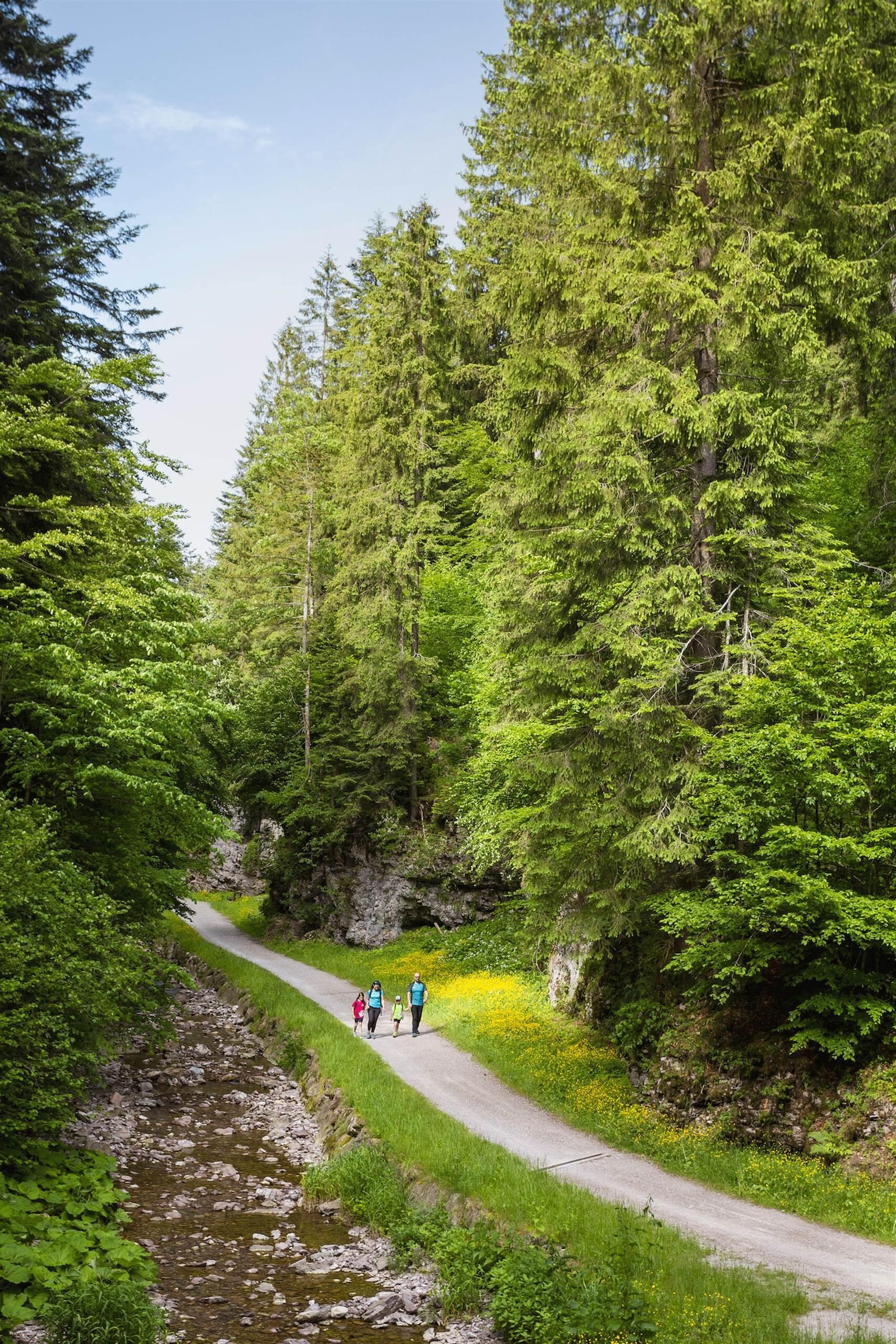 Family Trekking_estate 2019_ph. Filippo Frizzera (