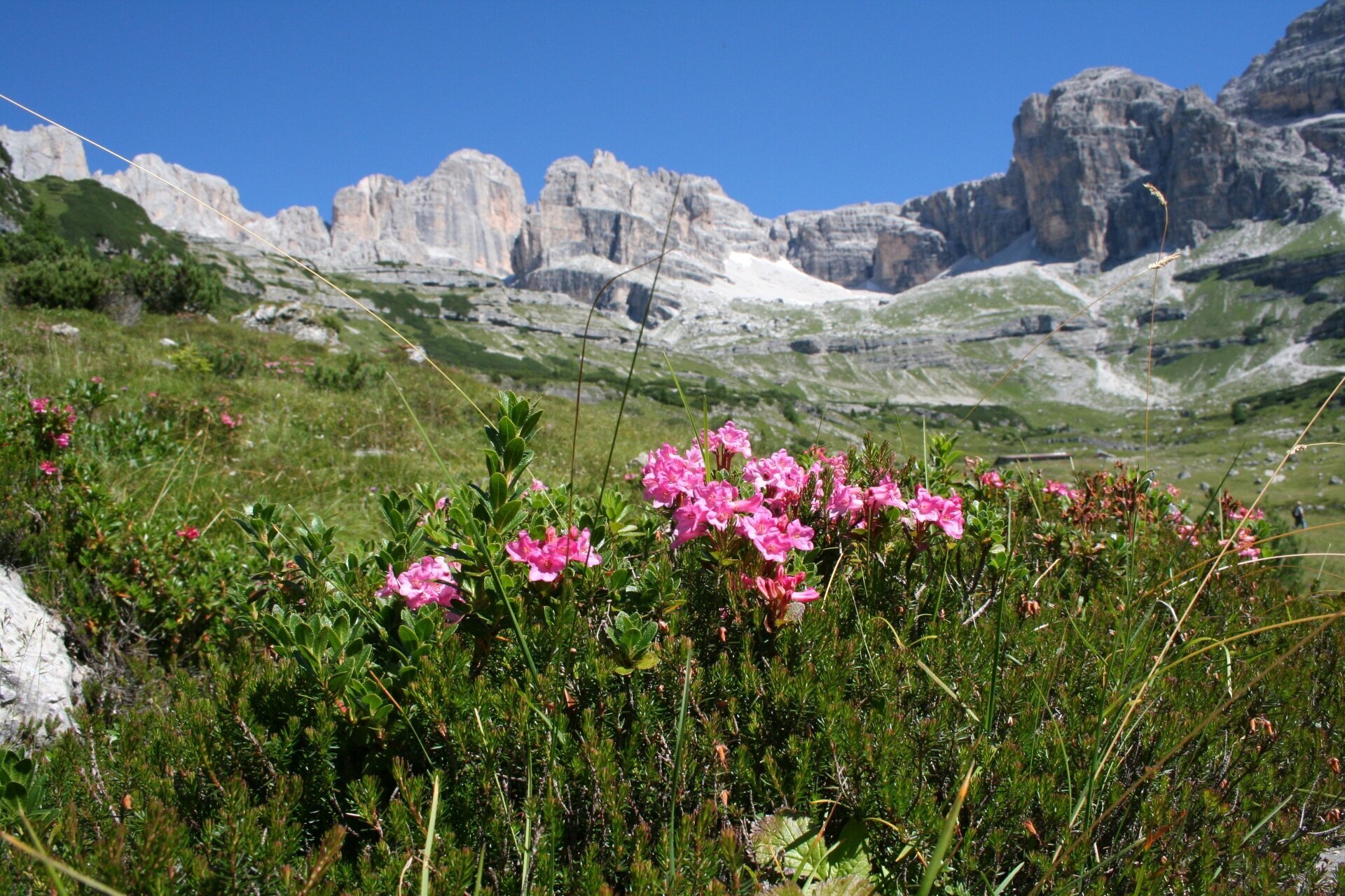 Dentro l'inquadratura: in Val d'Ambiez con Simone Cargnoni