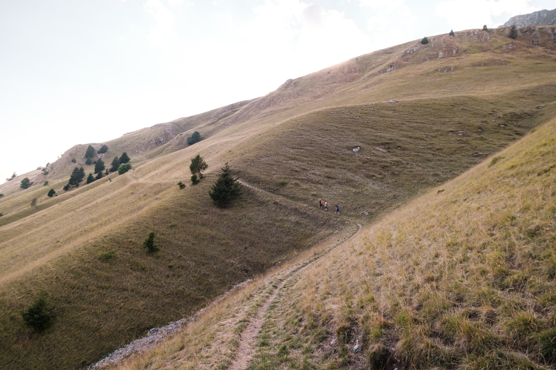 Content Dam Org 5 Images Full Rights Dolomiti Paganella Esperienze Dolomiti Fuori Rotta Top Experience Into The Wild Trekking Prada Estate 2022 Dp Ph Filippo Frizzera 7