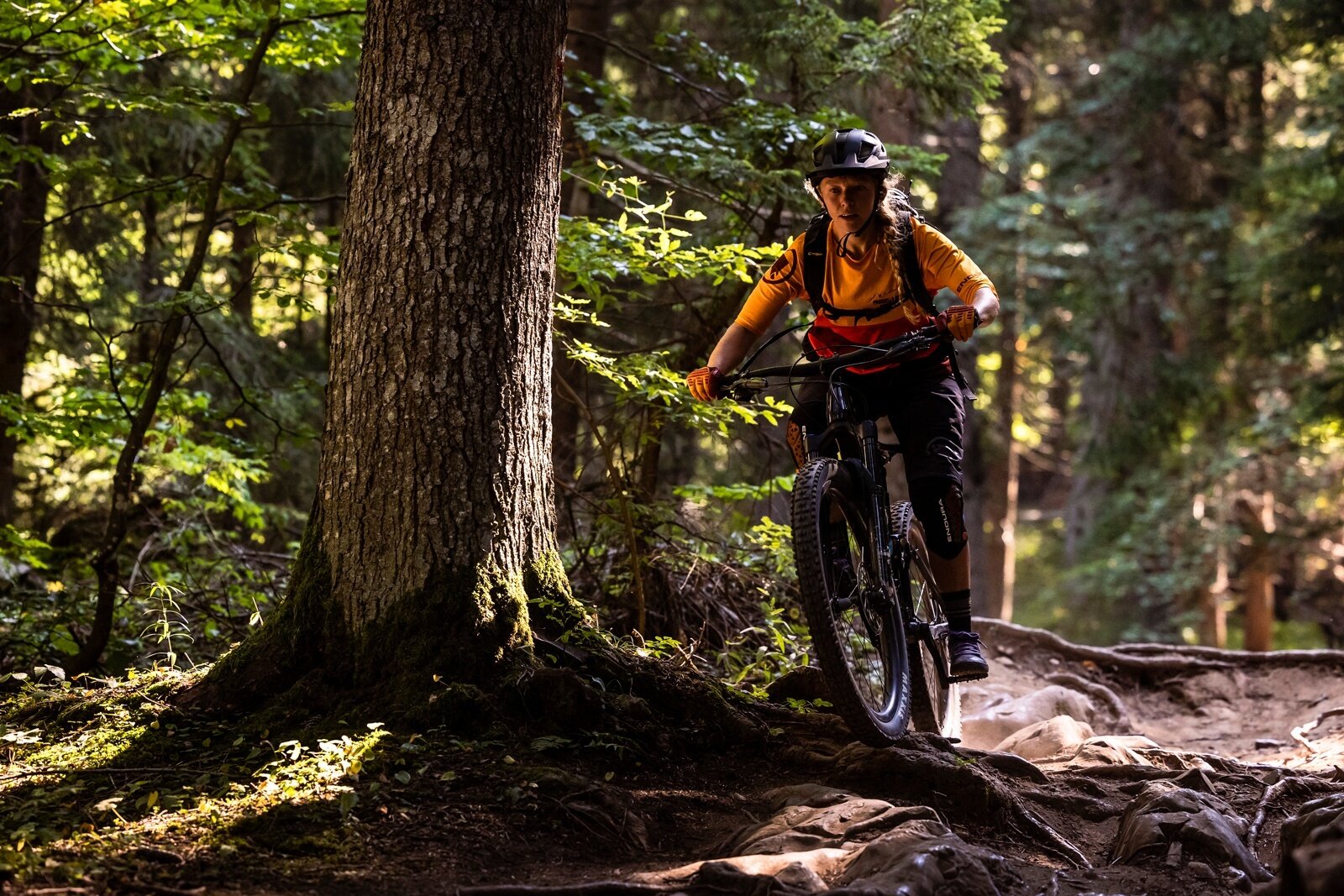 804 "Ranzo-Andalo MTB"