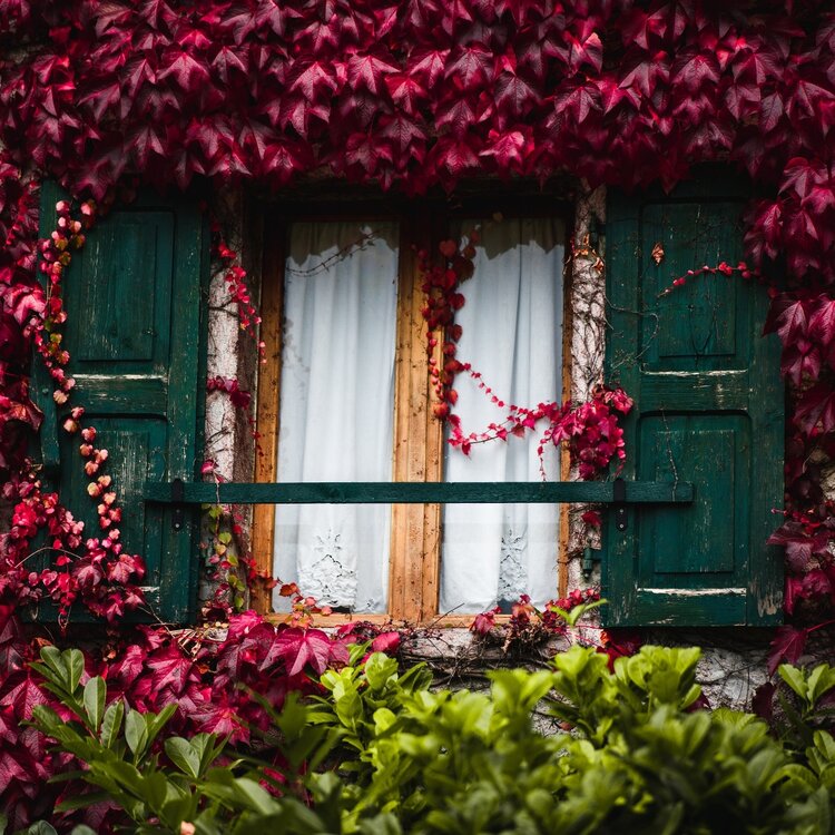 Sentiero S. Vili: da Deggia a Ranzo