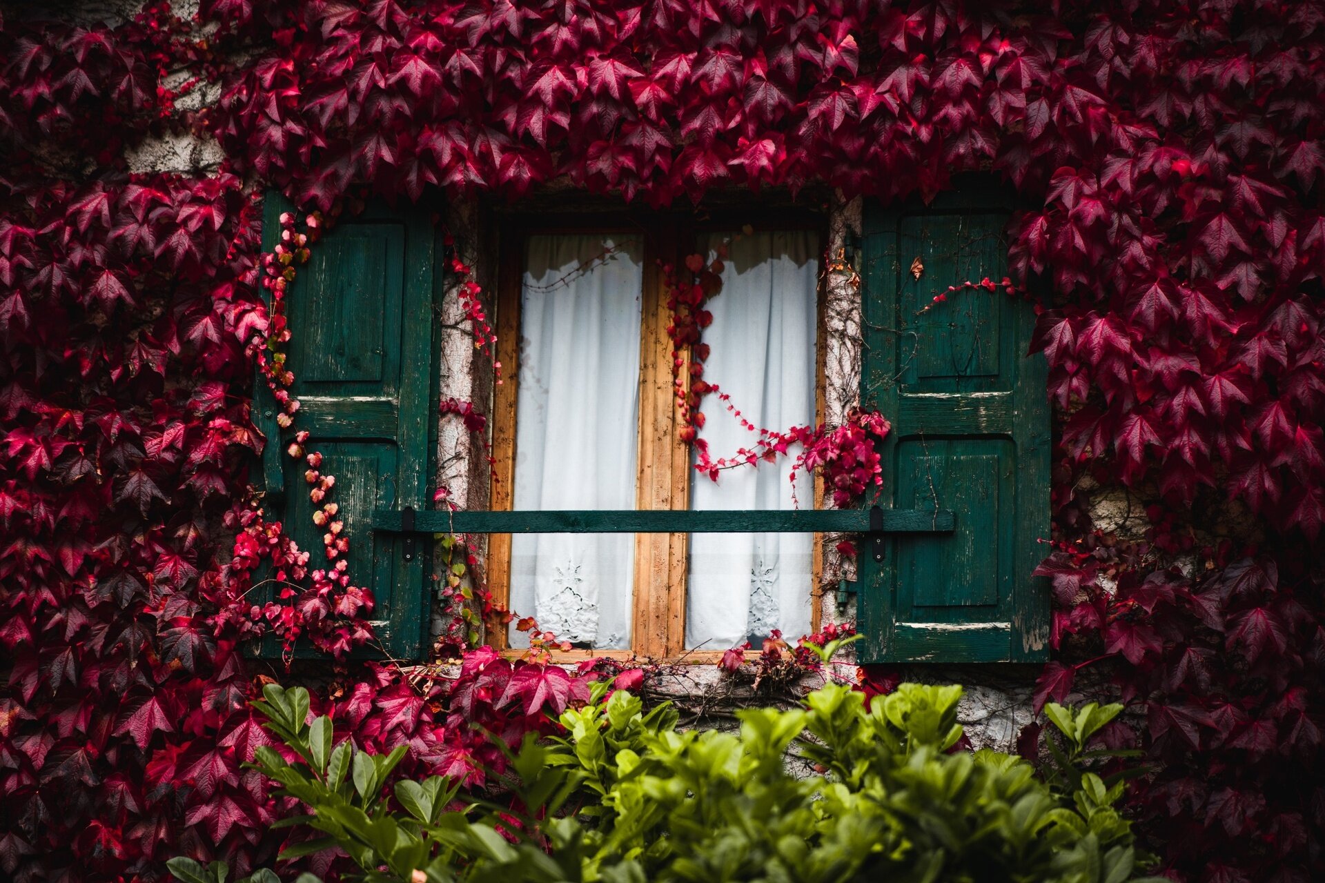 Sentiero S. Vili: from Deggia to Ranzo