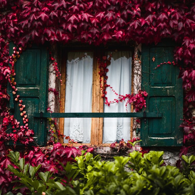 Sentiero S. Vili: da Deggia a Ranzo