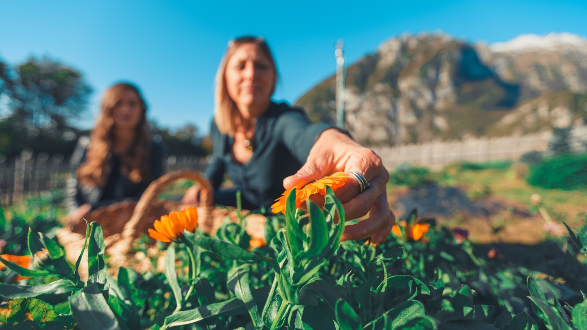 Content Dam Org 5 Images Full Rights Dolomiti Paganella Agriturismi Azienda Agricola Il Ritorno Azienda Agricola Il Ritorno Estate Paganella Joe Barba 2