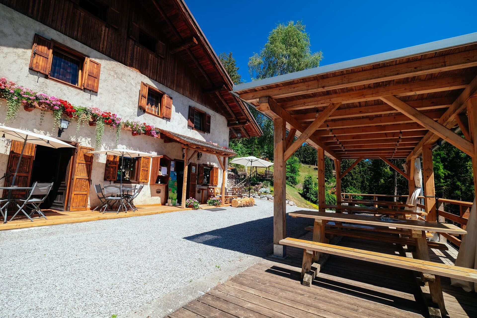 Content Dam Org 5 Images Full Rights Dolomiti Paganella Gusto Ristorante Rifugio Alpenrose Rifugio Rifugio Alpenrose Estate Dp Vitaly Yarosh 7