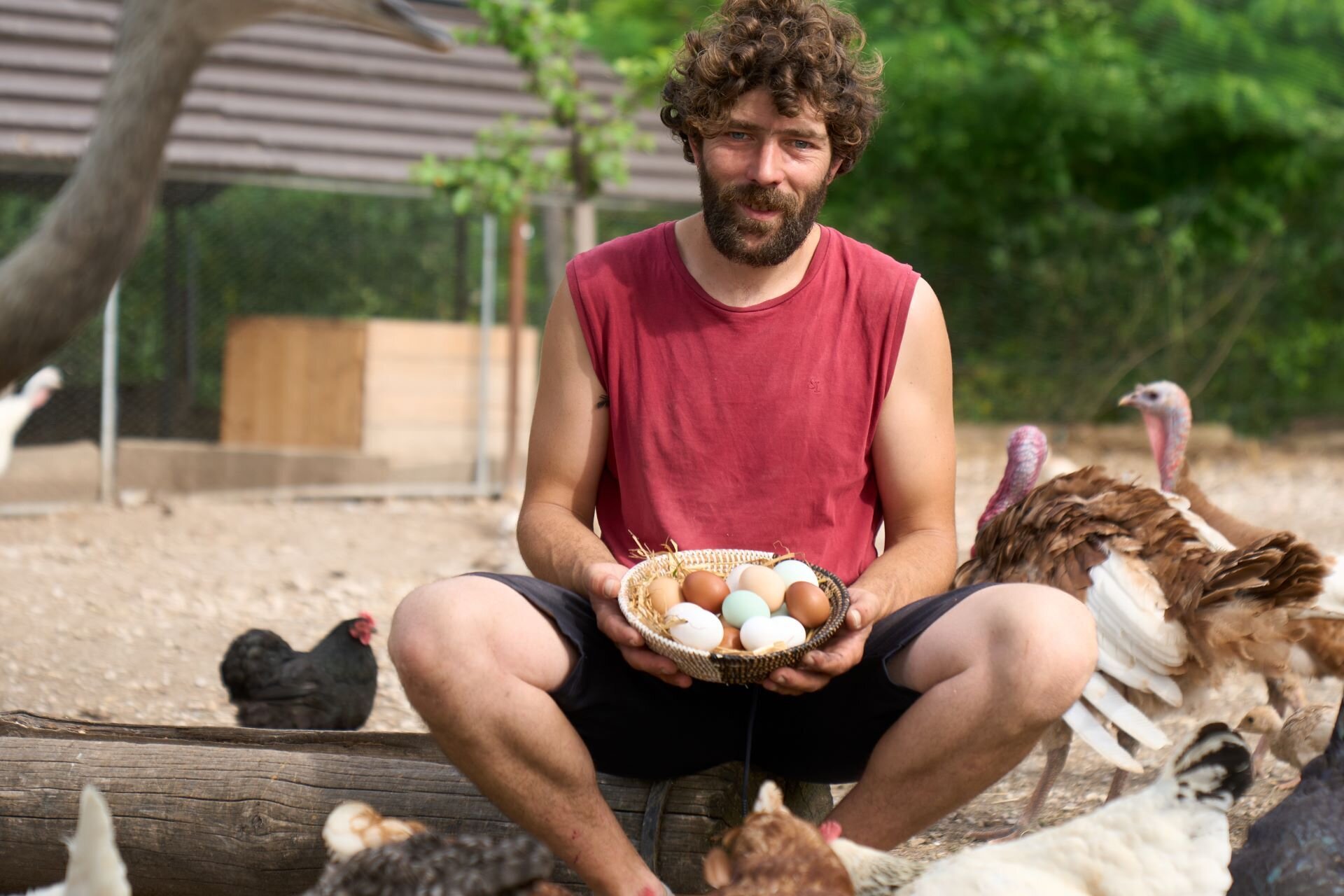 Azienda agricola Asini a spasso