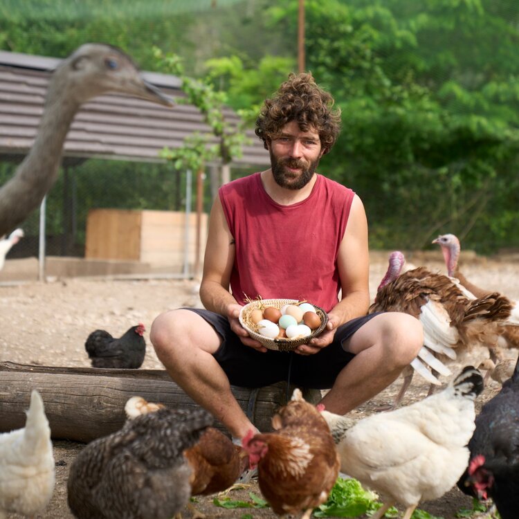 Azienda agricola Asini a spasso
