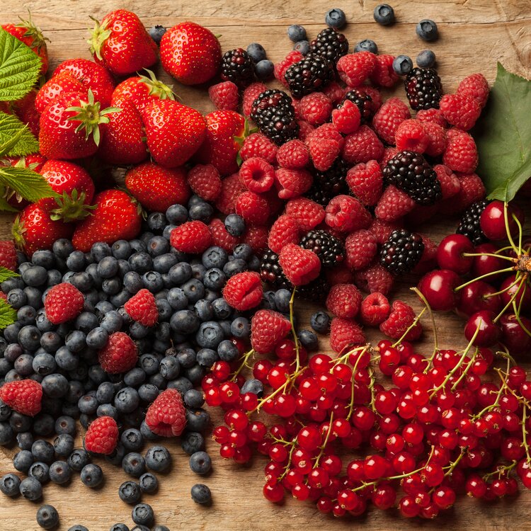 Azienda agricola Luca Donati