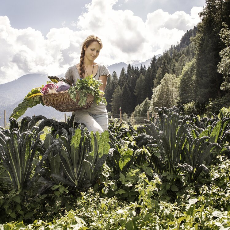 L'Orto di Mamma Patty
