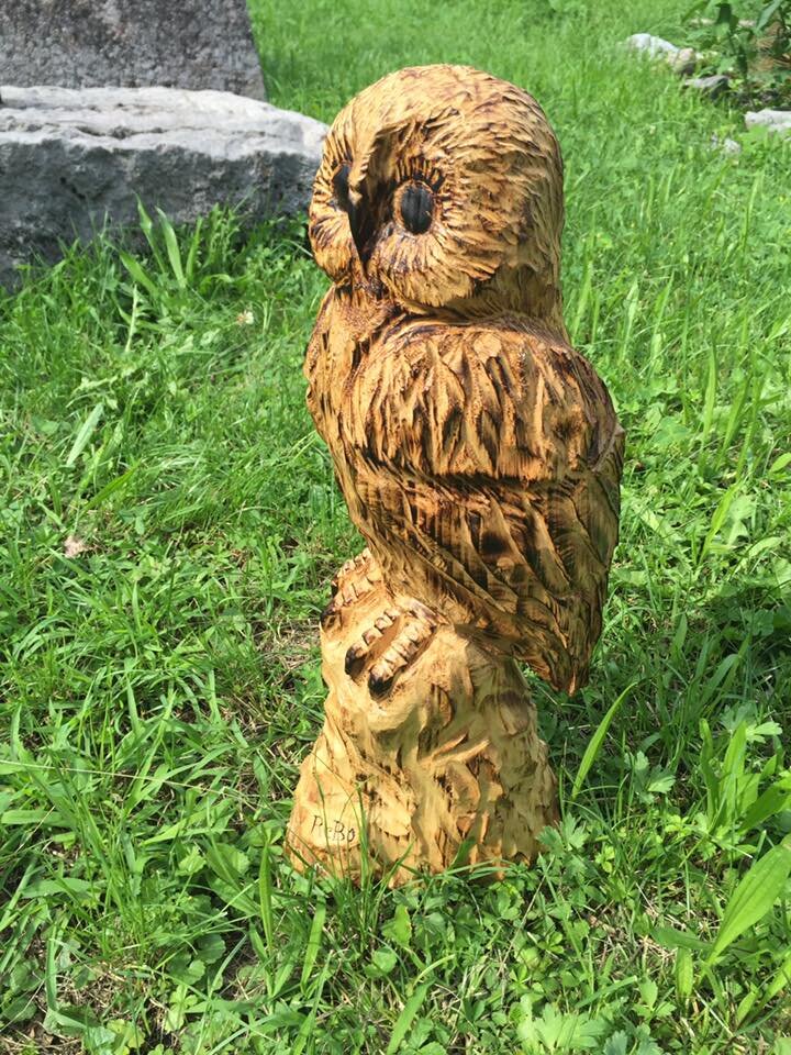 494911323 3956013881393206 3869832035712645986 N