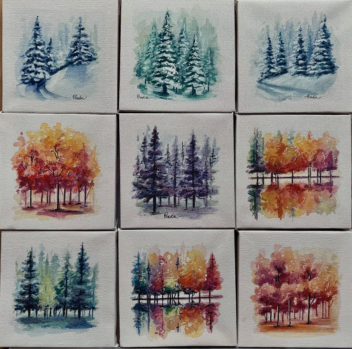 San Lorenzo Dorsino Quadri Foresta