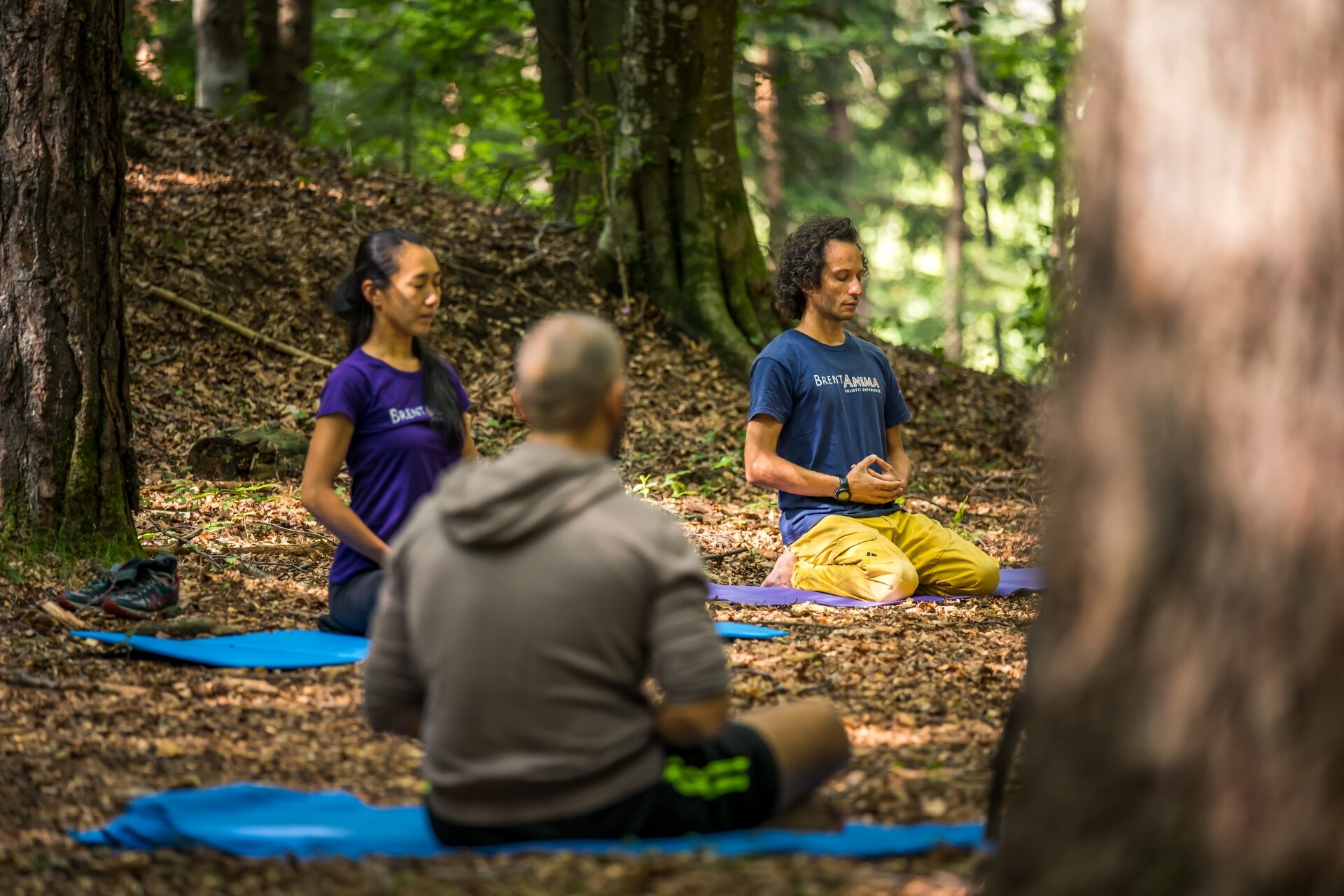 Gruppo Brentanima San Lorenzo Dorsino Meditazione Zazen Bosco