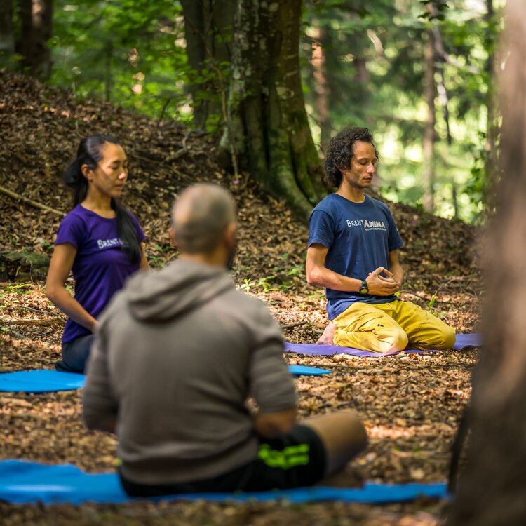 Gruppo Brentanima San Lorenzo Dorsino Meditazione Zazen Bosco