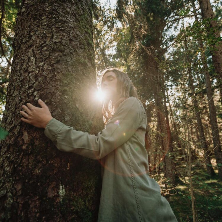 Abbraccio Degli Alberi San Lorenzo Dorsino Alissa Shiraishi Brentaanima
