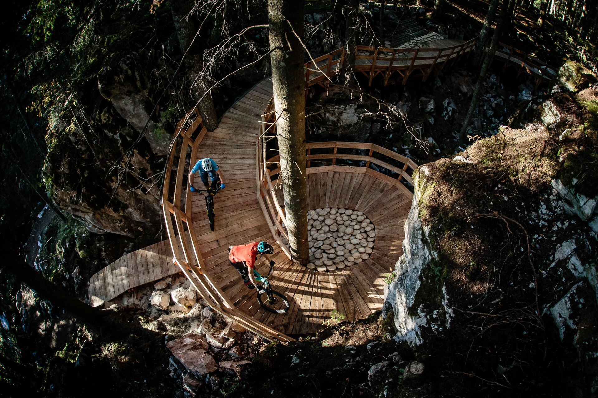 Bike Andalo Zone Willy Wonka Aut