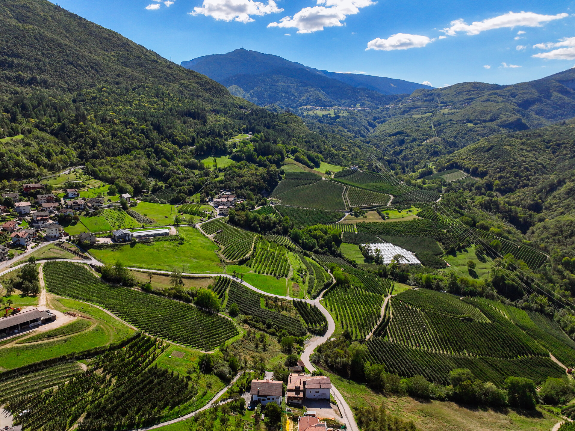 Paesaggio Spormaggiore Estate Dp