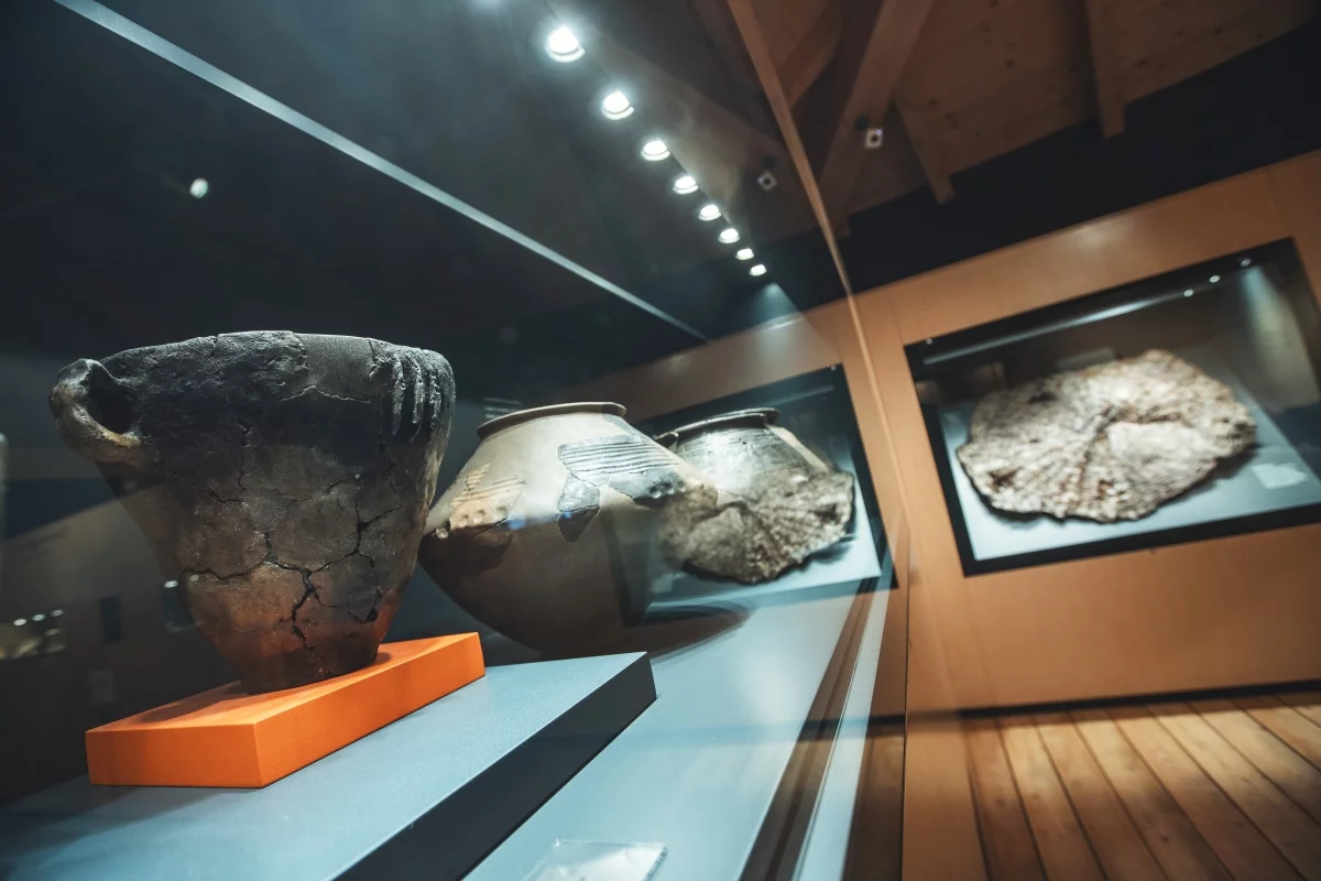 Sala Interna Museo Palafitte Di Fiavè Vicino San Lorenzo Dorsino