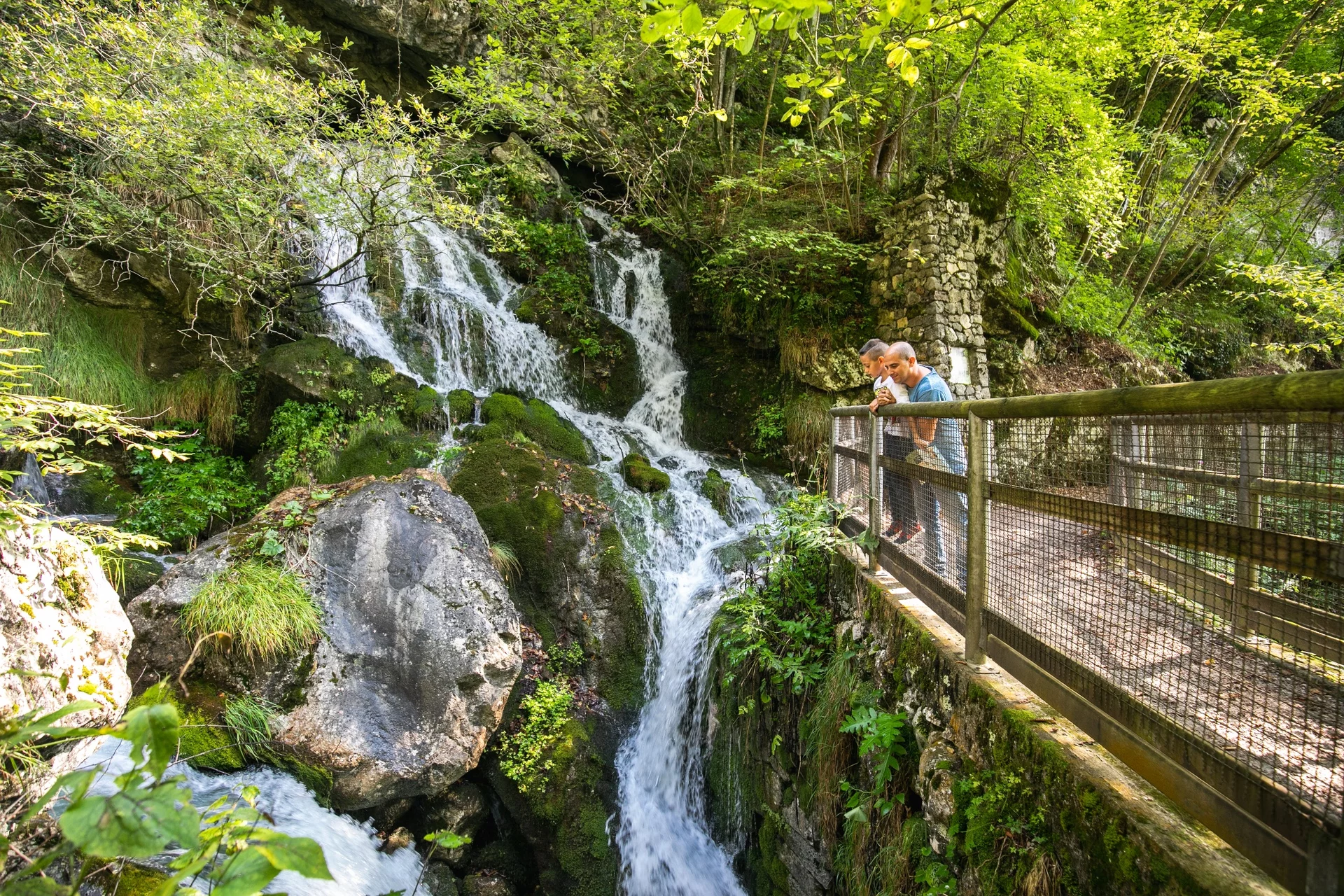 2026 02 17 12 56 36100147