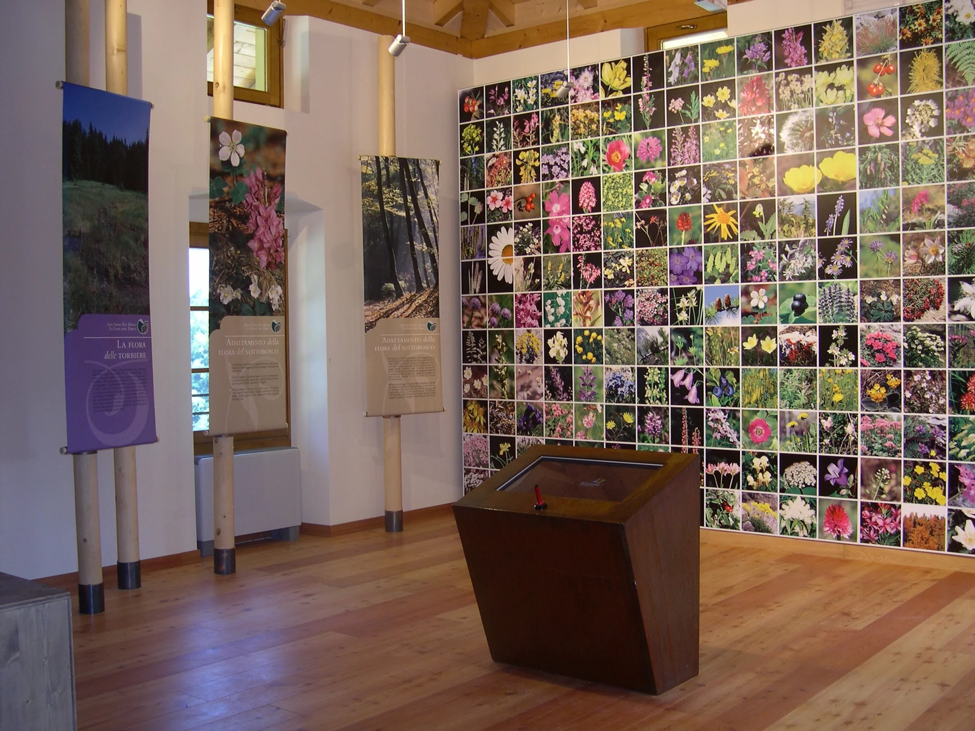 2025 11 14 08 01 12916867