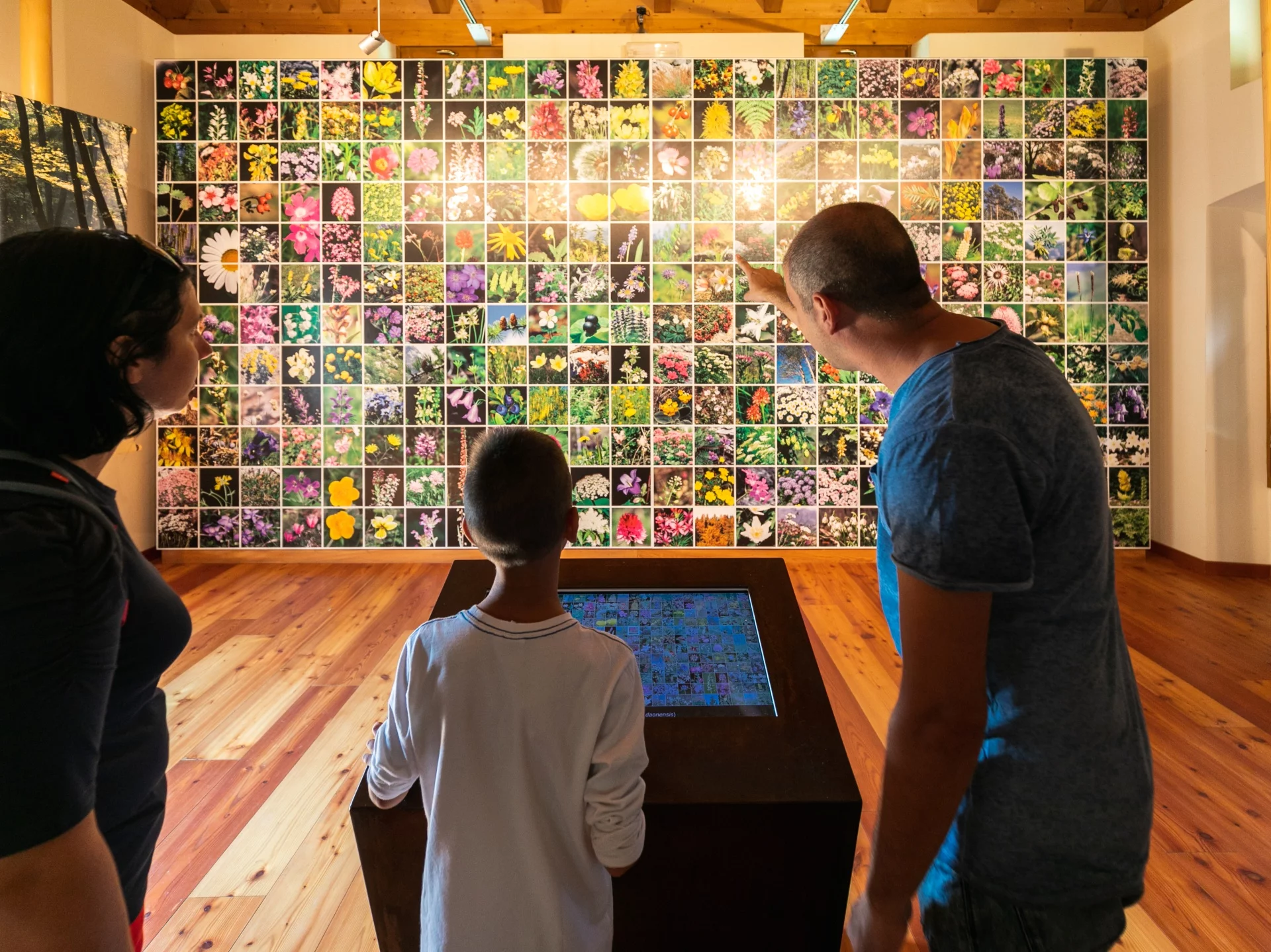 Poi Natura Comano Stenico Casapnabflora A Russolo Tnmk