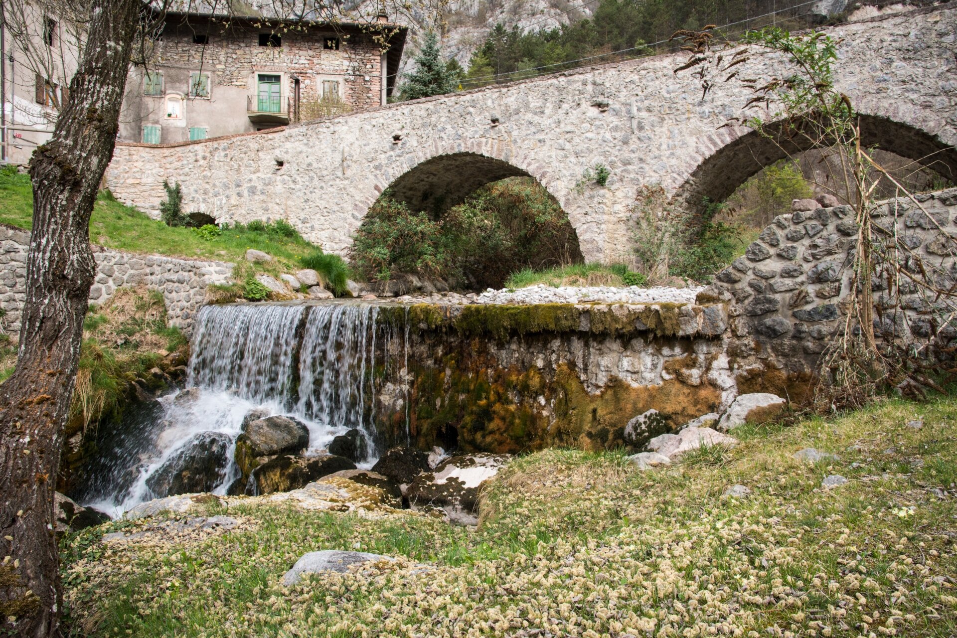 Die Stimme des Wassers