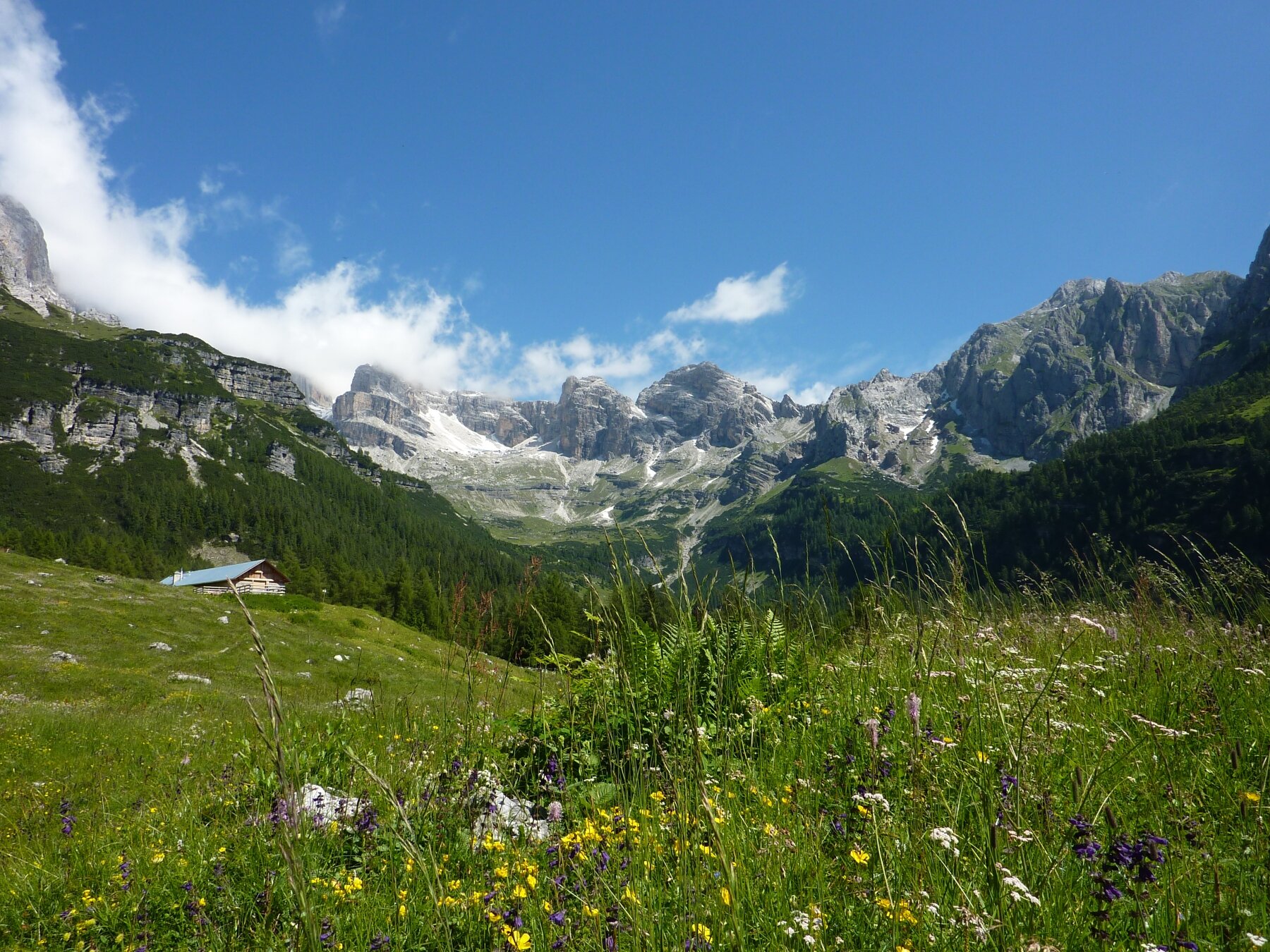 12375 Val Ambiez Giuliana Pincelli 1