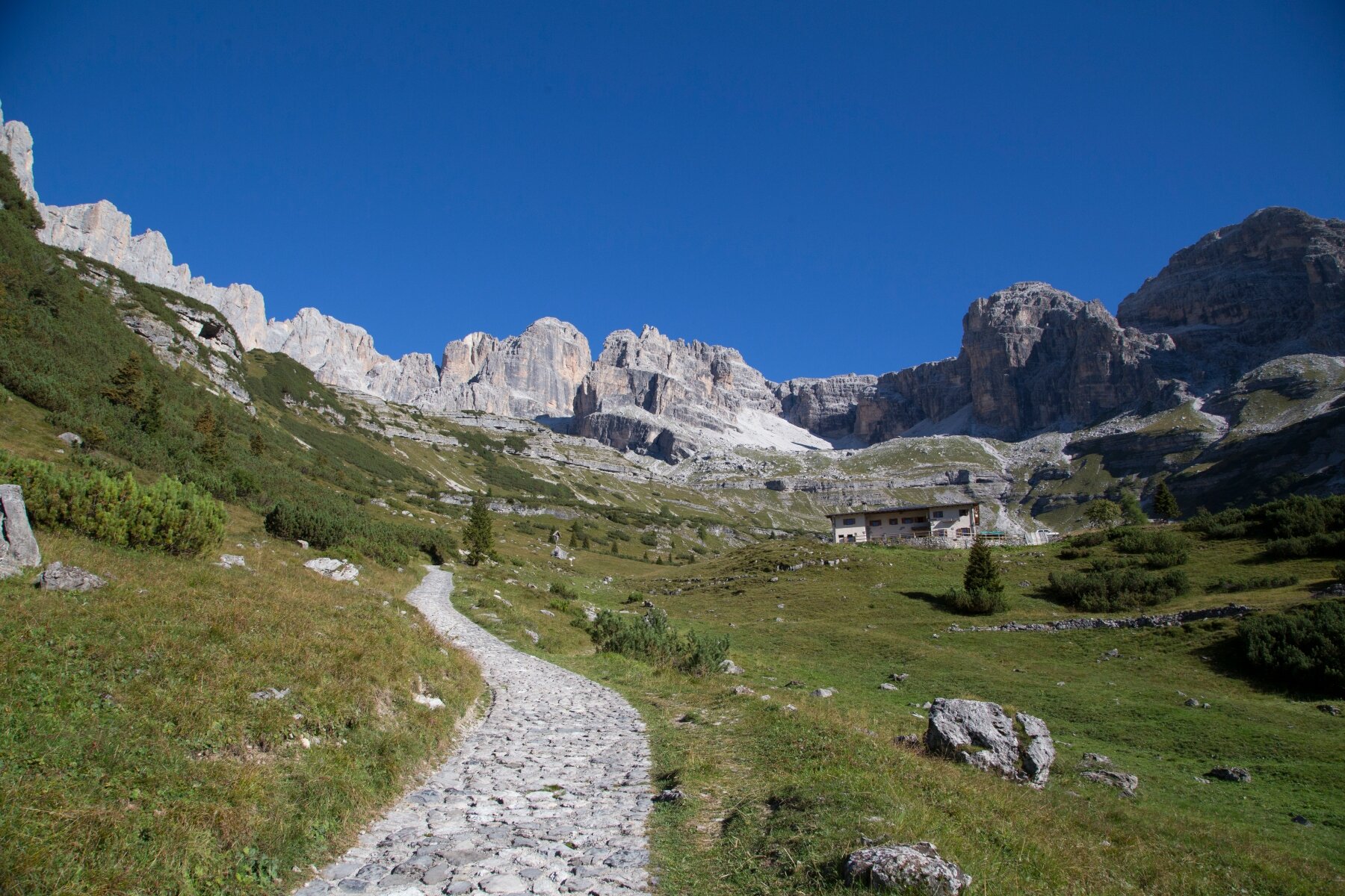 Img 8823 Ph Pillow Lab 3 1