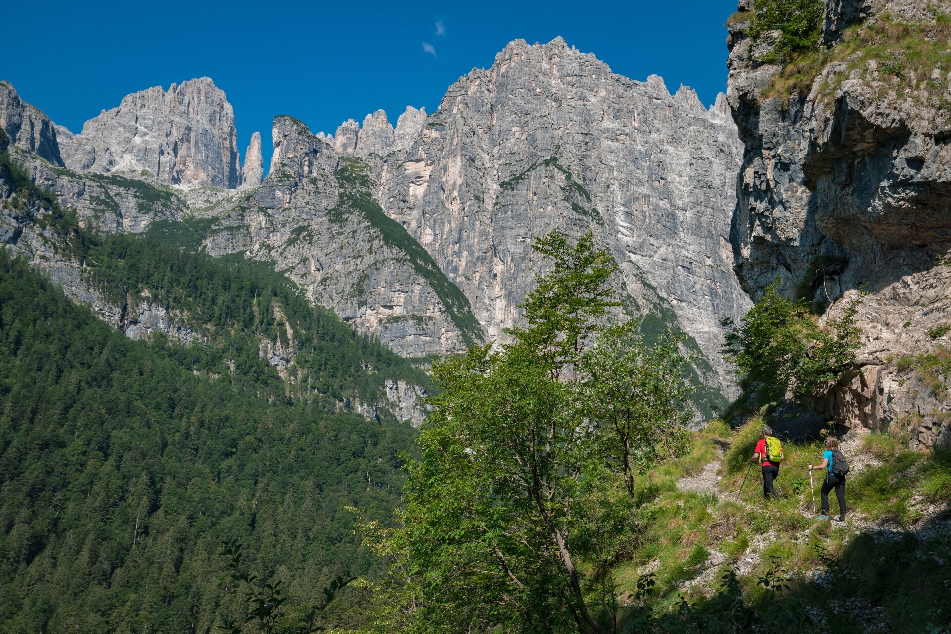 Trekking Croz Altissimo Estate Dp 2018 Ph Tommaso Pini 40