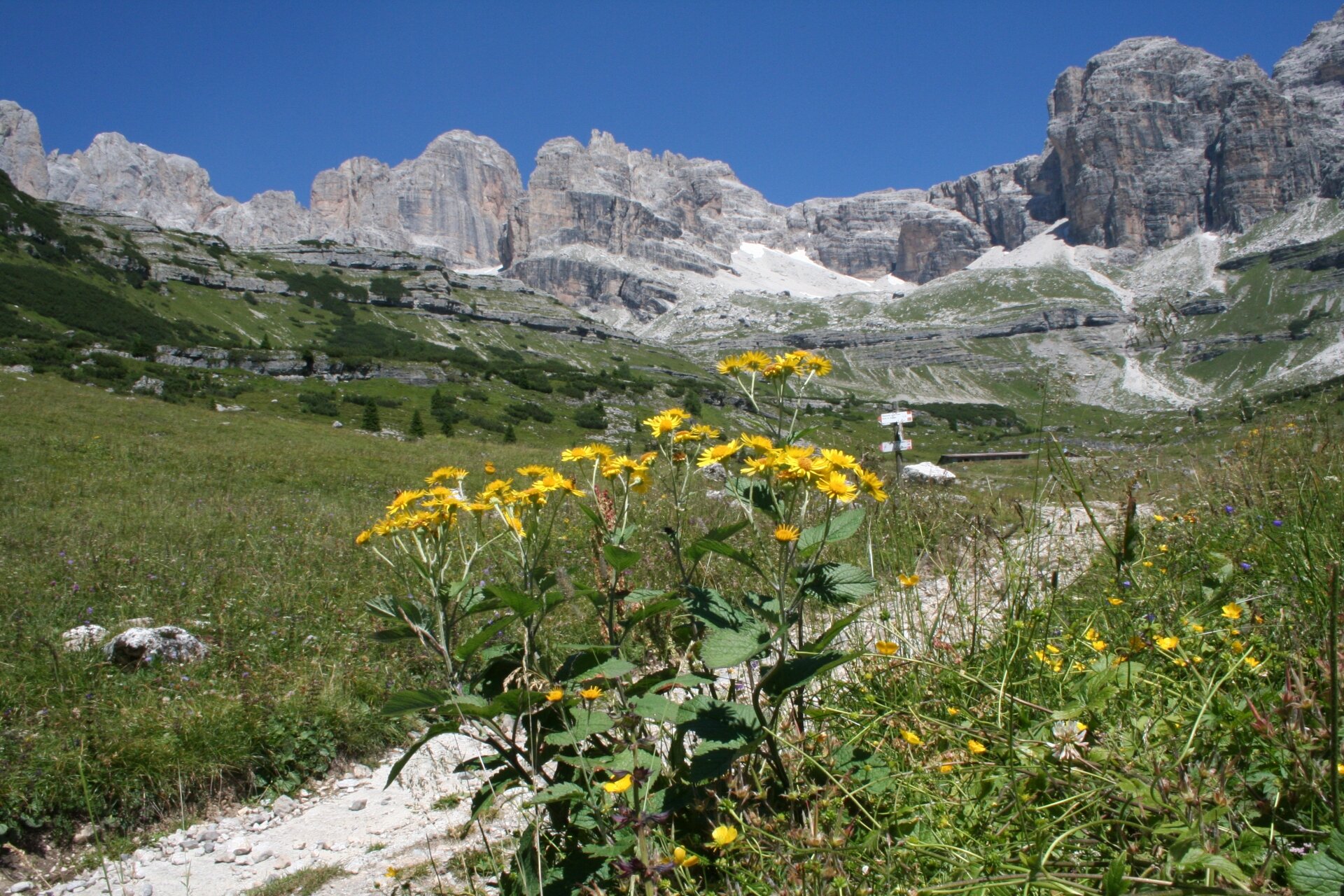 Gita In Val D Ambiez Con Valentino E Paola 2 Agosto 2013 097 2