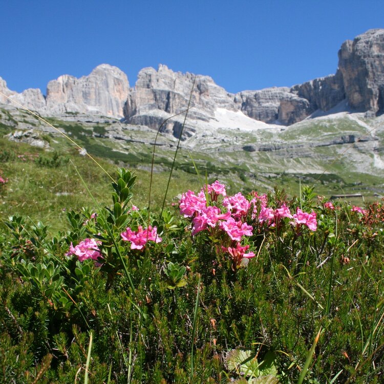 Parco Naturale Adamello Brenta