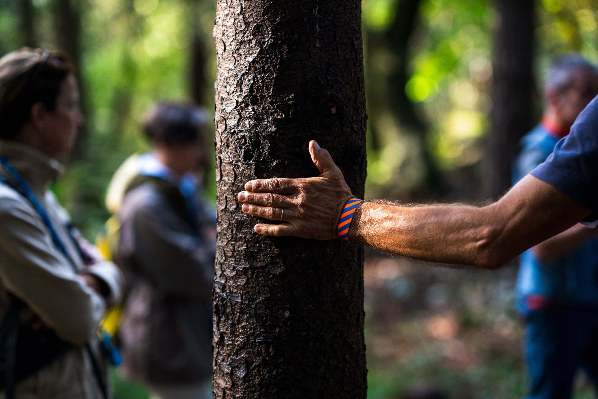 240906 Orme 24 Dsc1883