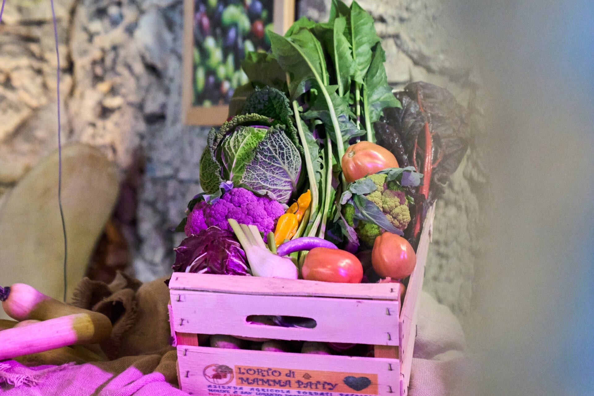 Sagra Ciuiga 2023 013 1 1