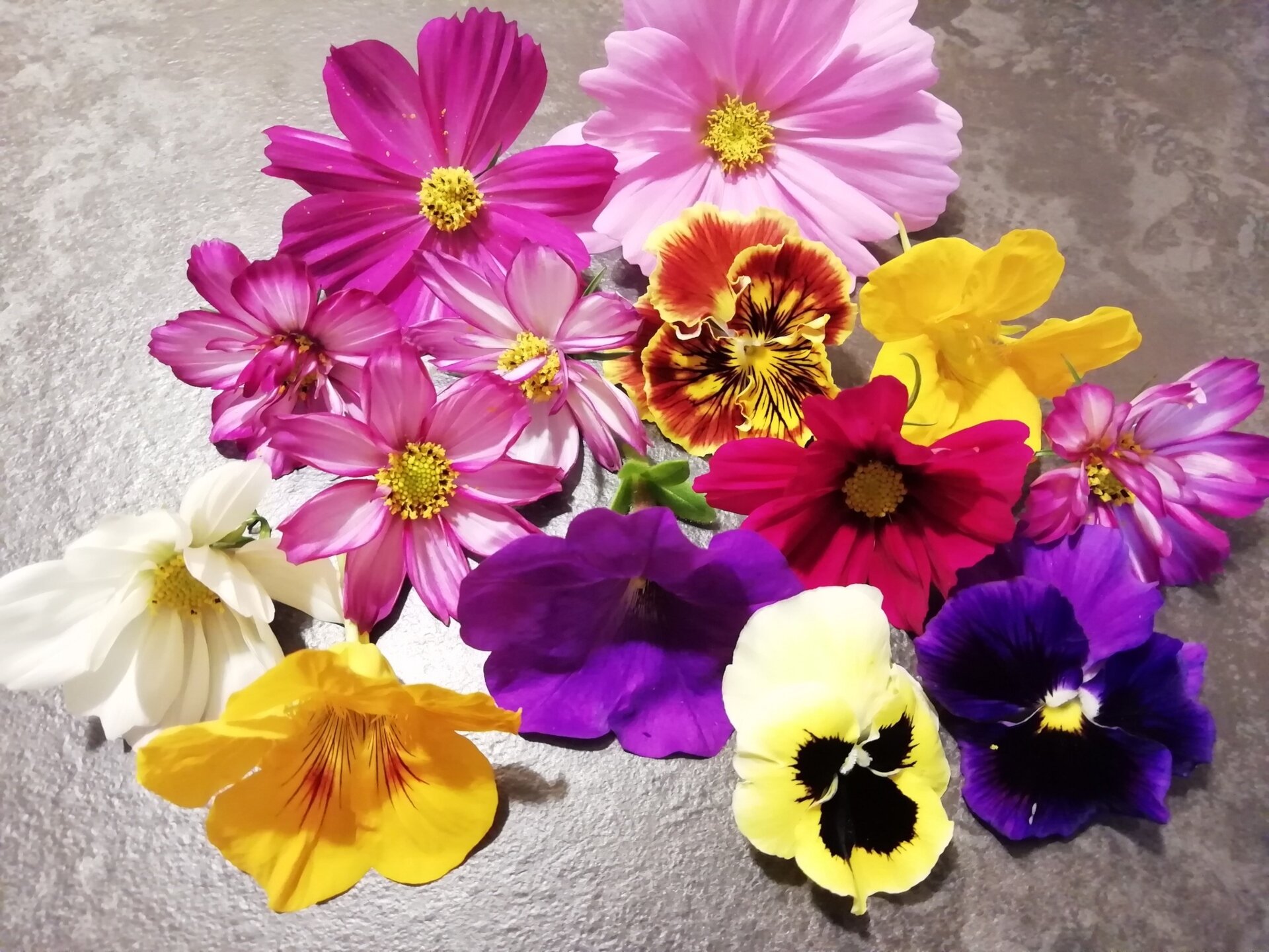 471570341 590986627214181 8887122495357274127 N