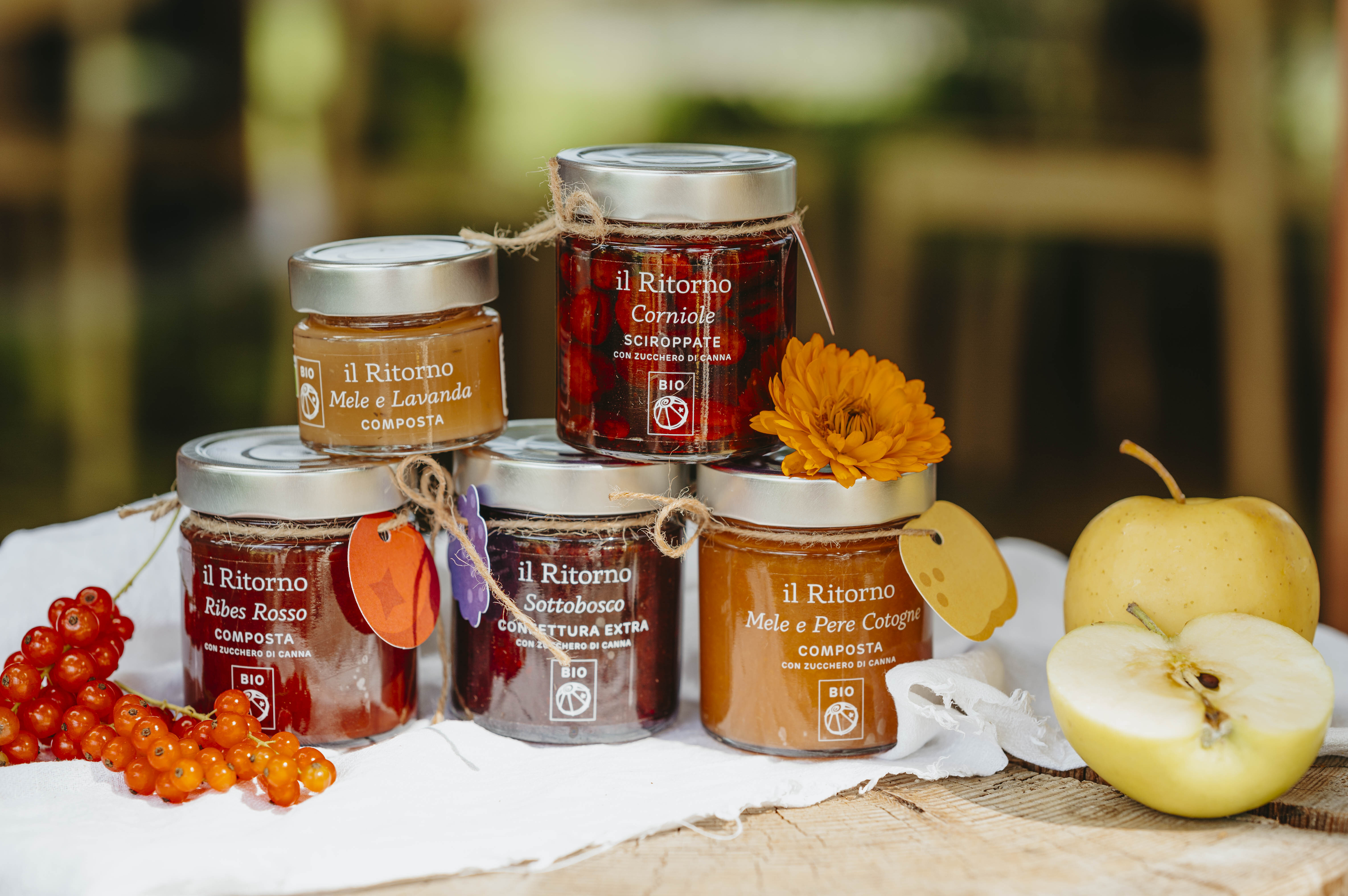 0040 240709 2mb Nograin