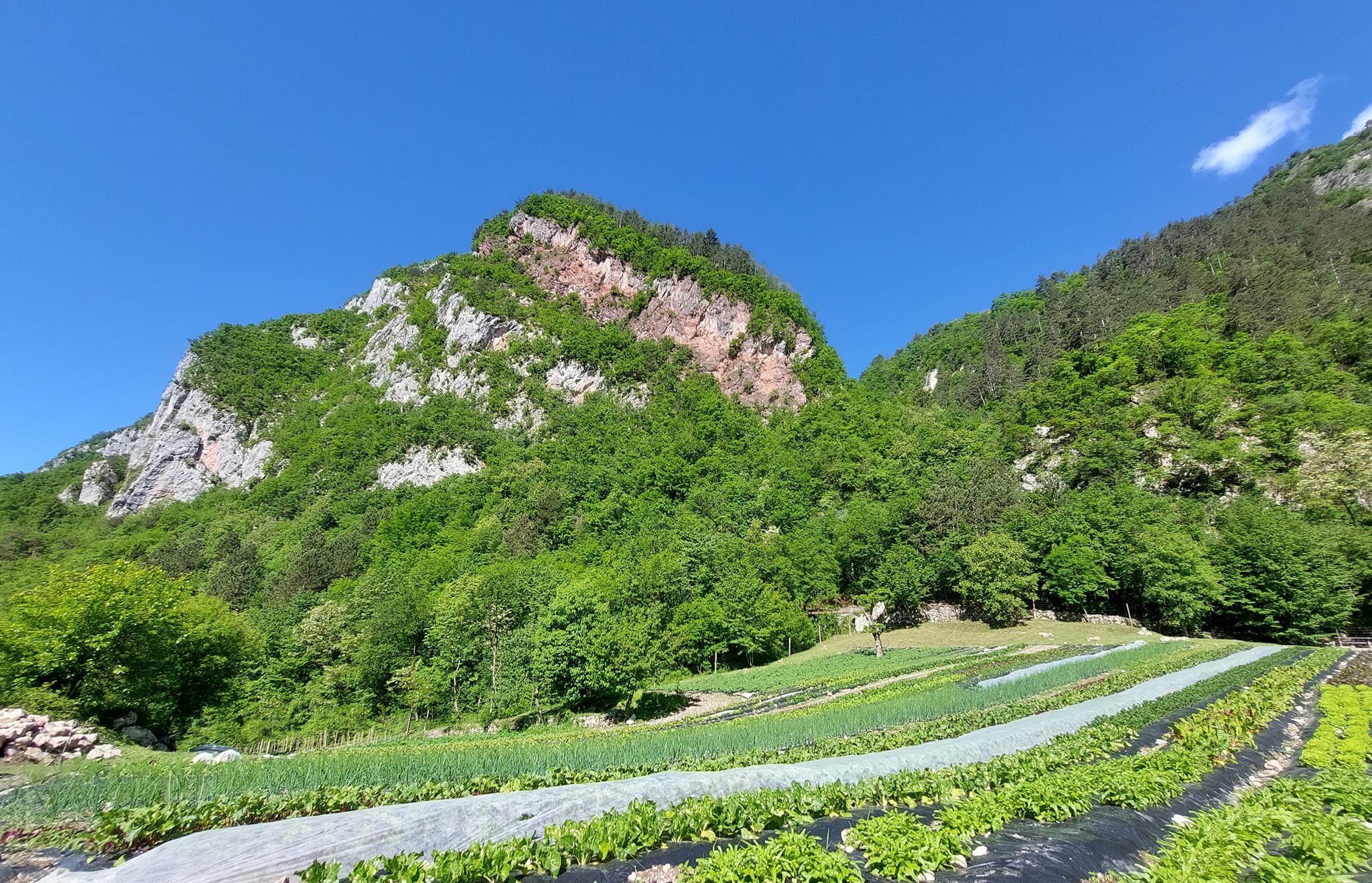 480556349 1067468455183021 3827940202230308022 N