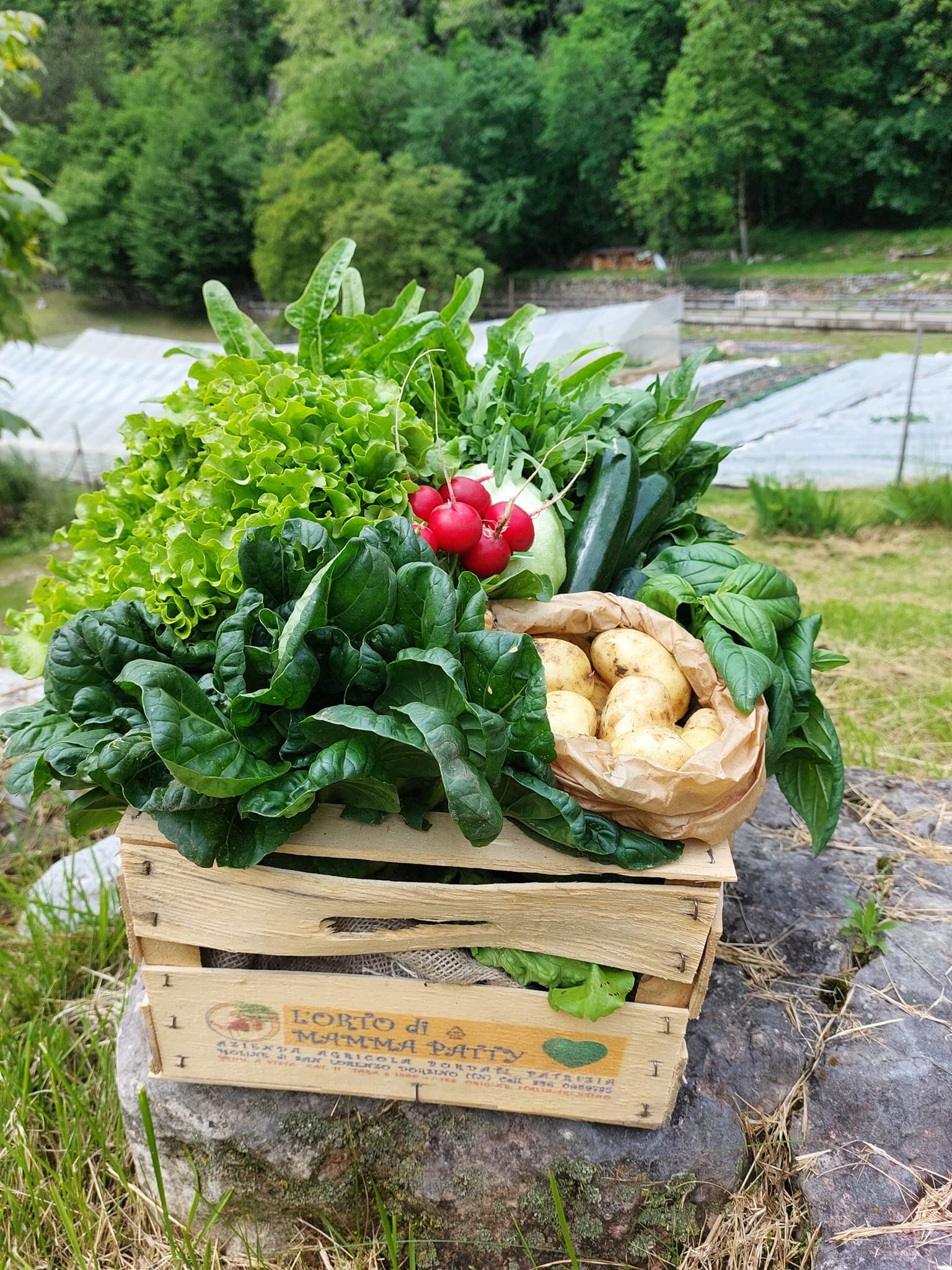 480580198 1067468248516375 5654119503207978169 N