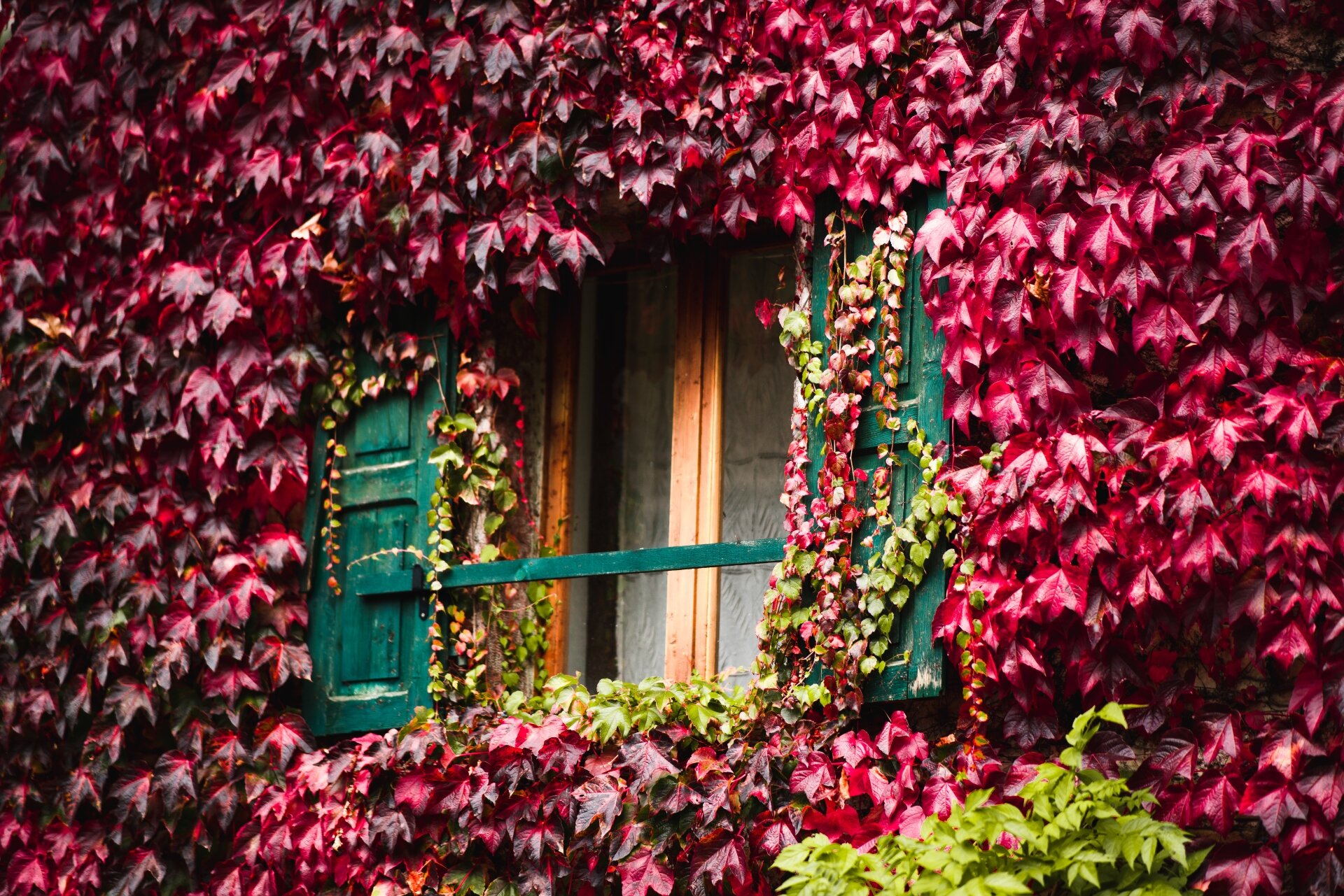 Moline Deggia San Lorenzo Dorsino Autunno Fototeca Trentino Sviluppo Spa 2019 Ph Gabor Nagy 15 1