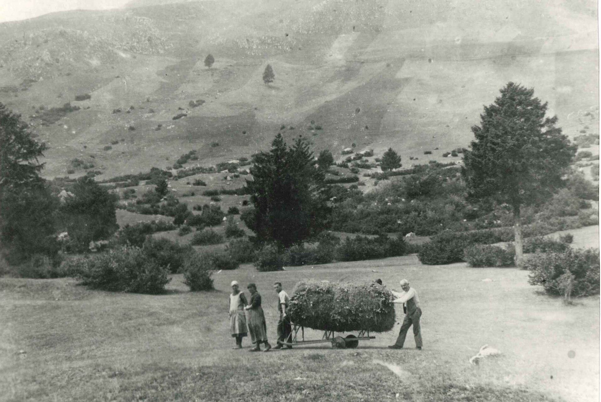 La Strada Delle Slitte 