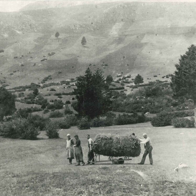 La Strada Delle Slitte 